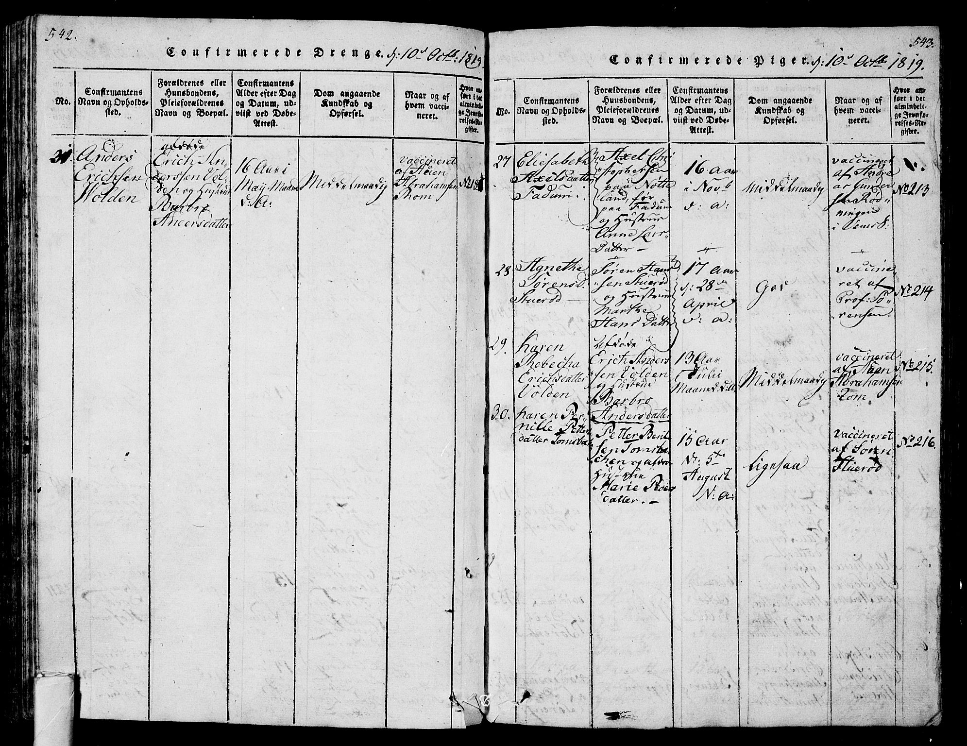 Sem kirkebøker, AV/SAKO-A-5/G/Ga/L0001: Parish register (copy) no. I 1, 1814-1825, p. 542-543