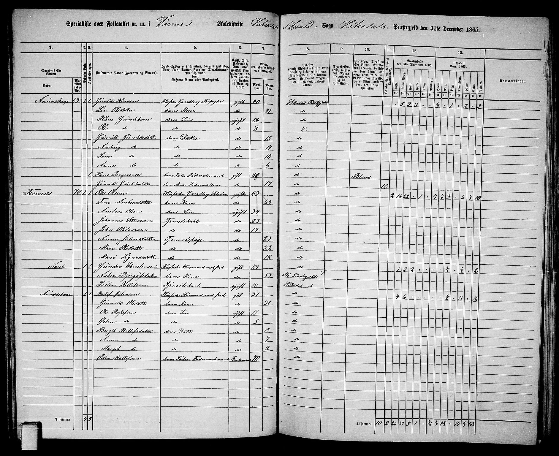 RA, 1865 census for Heddal, 1865, p. 67