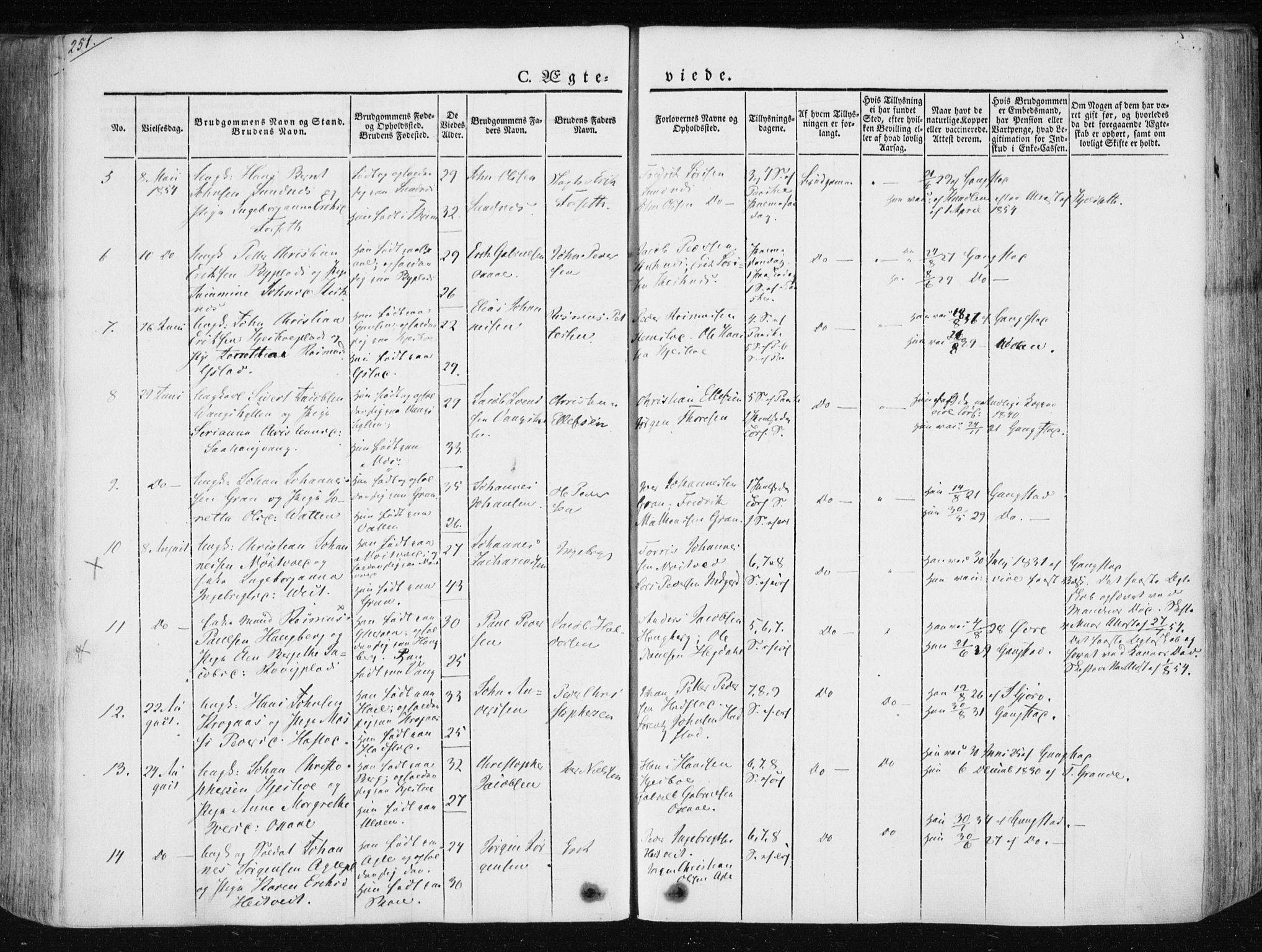 Ministerialprotokoller, klokkerbøker og fødselsregistre - Nord-Trøndelag, AV/SAT-A-1458/730/L0280: Parish register (official) no. 730A07 /1, 1840-1854, p. 251