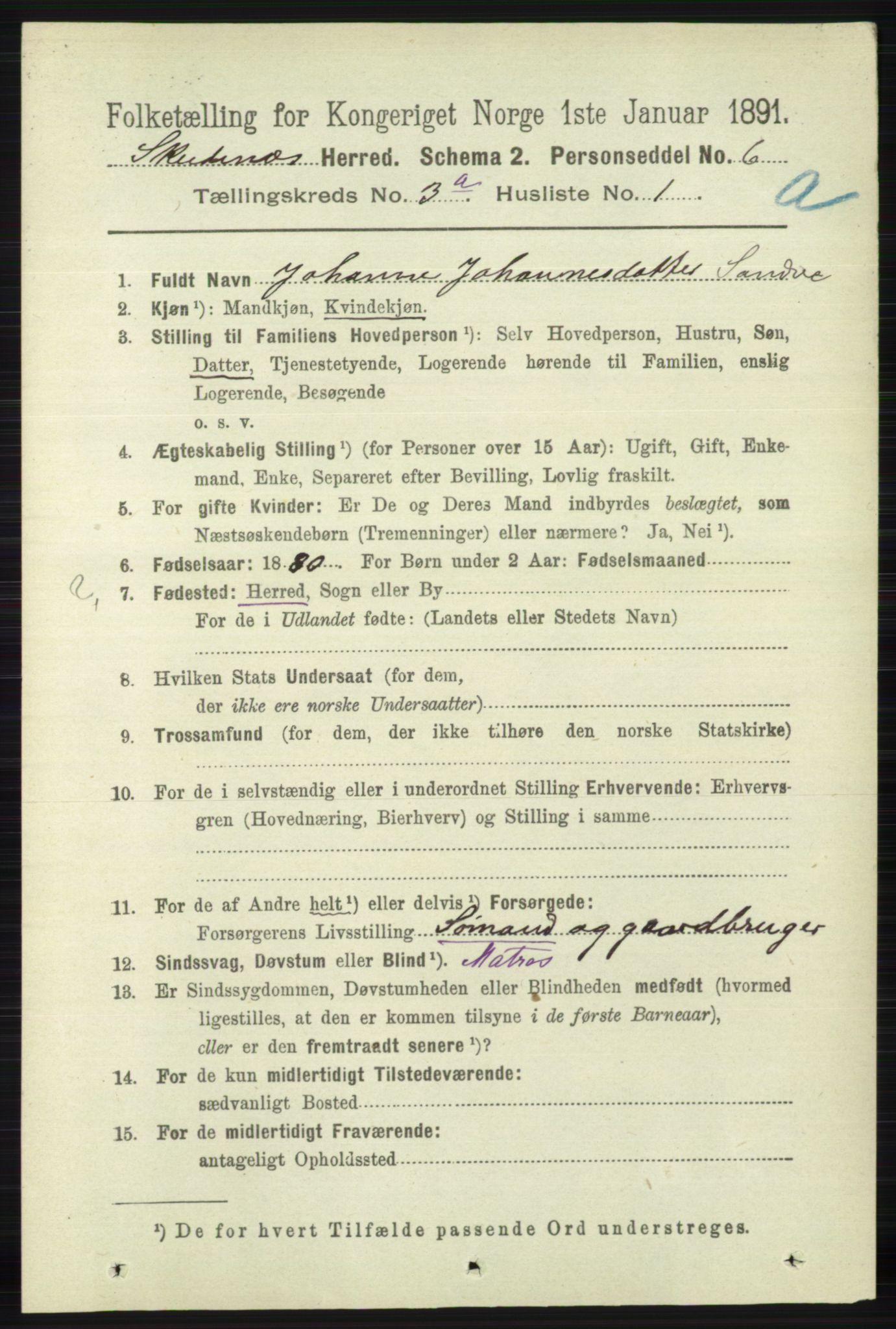 RA, 1891 census for 1150 Skudenes, 1891, p. 1380