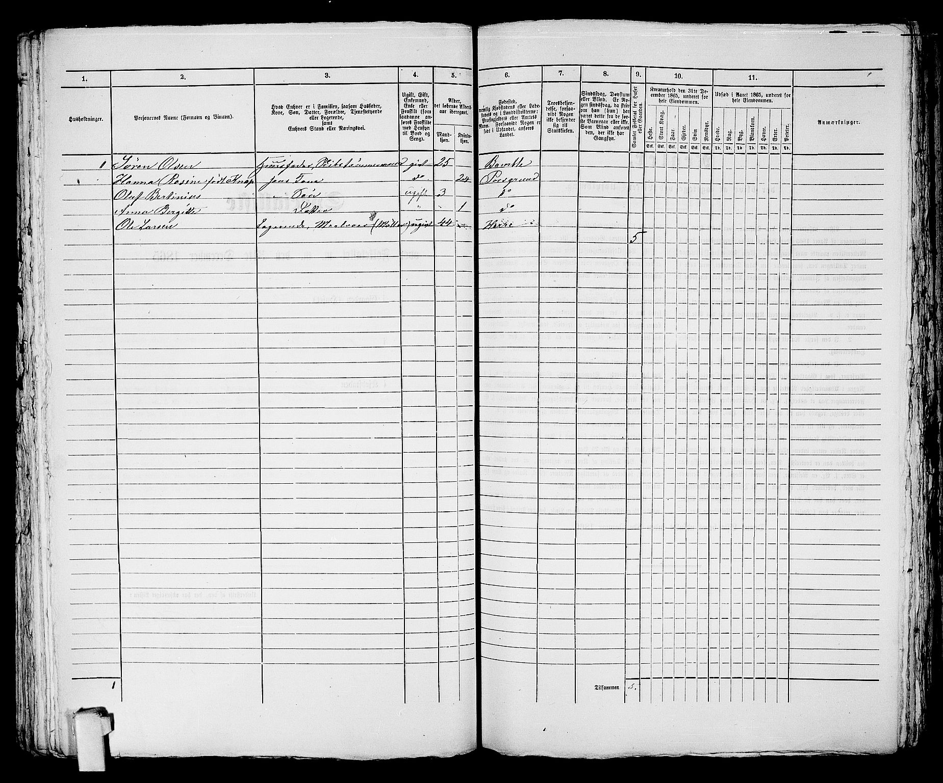 RA, 1865 census for Porsgrunn, 1865, p. 171