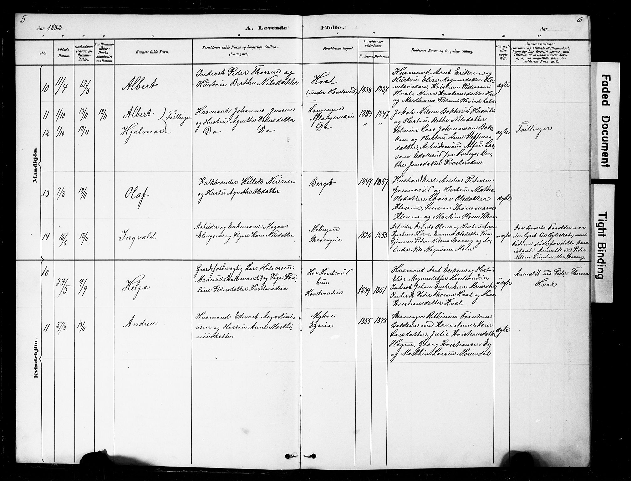 Nes prestekontor, Hedmark, AV/SAH-PREST-020/L/La/L0016: Parish register (copy) no. 16, 1883-1900, p. 5-6