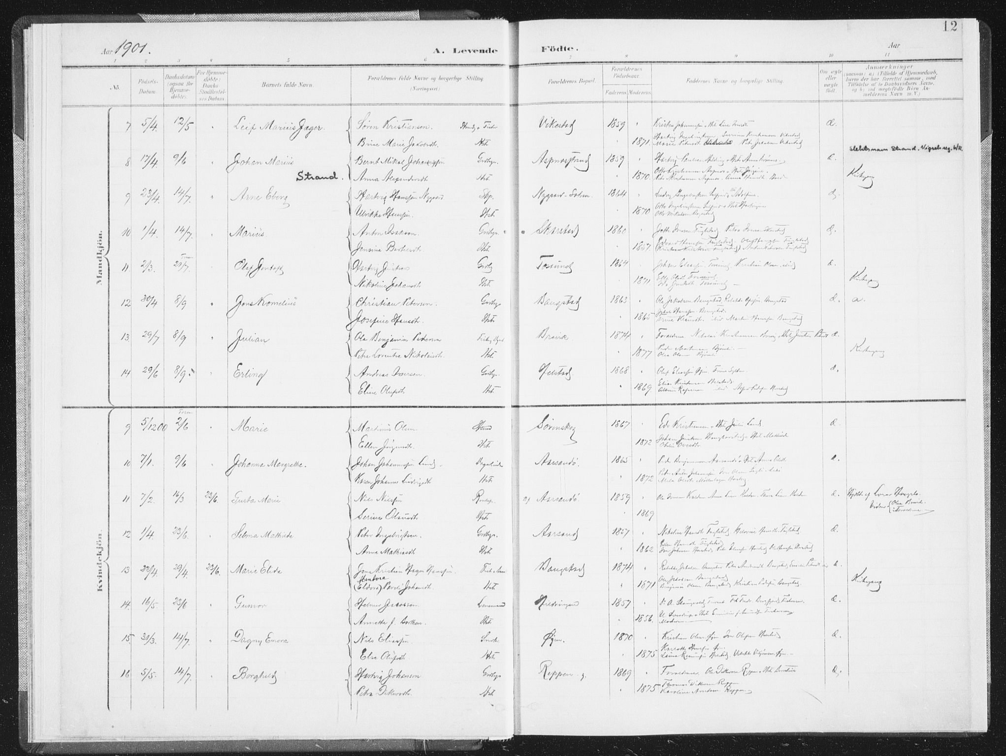 Ministerialprotokoller, klokkerbøker og fødselsregistre - Nordland, AV/SAT-A-1459/810/L0153: Parish register (official) no. 810A12, 1899-1914, p. 12