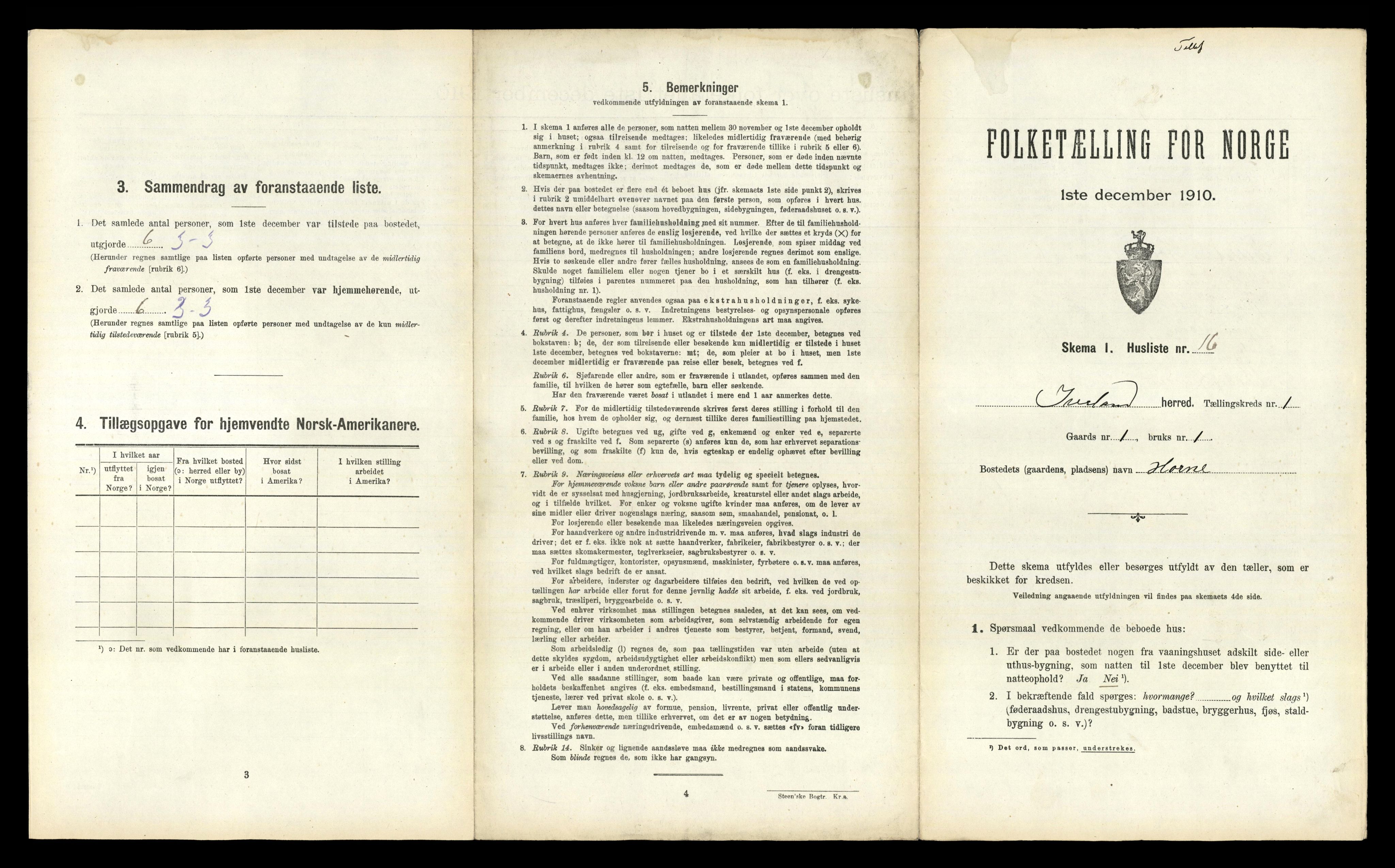 RA, 1910 census for Iveland, 1910, p. 63