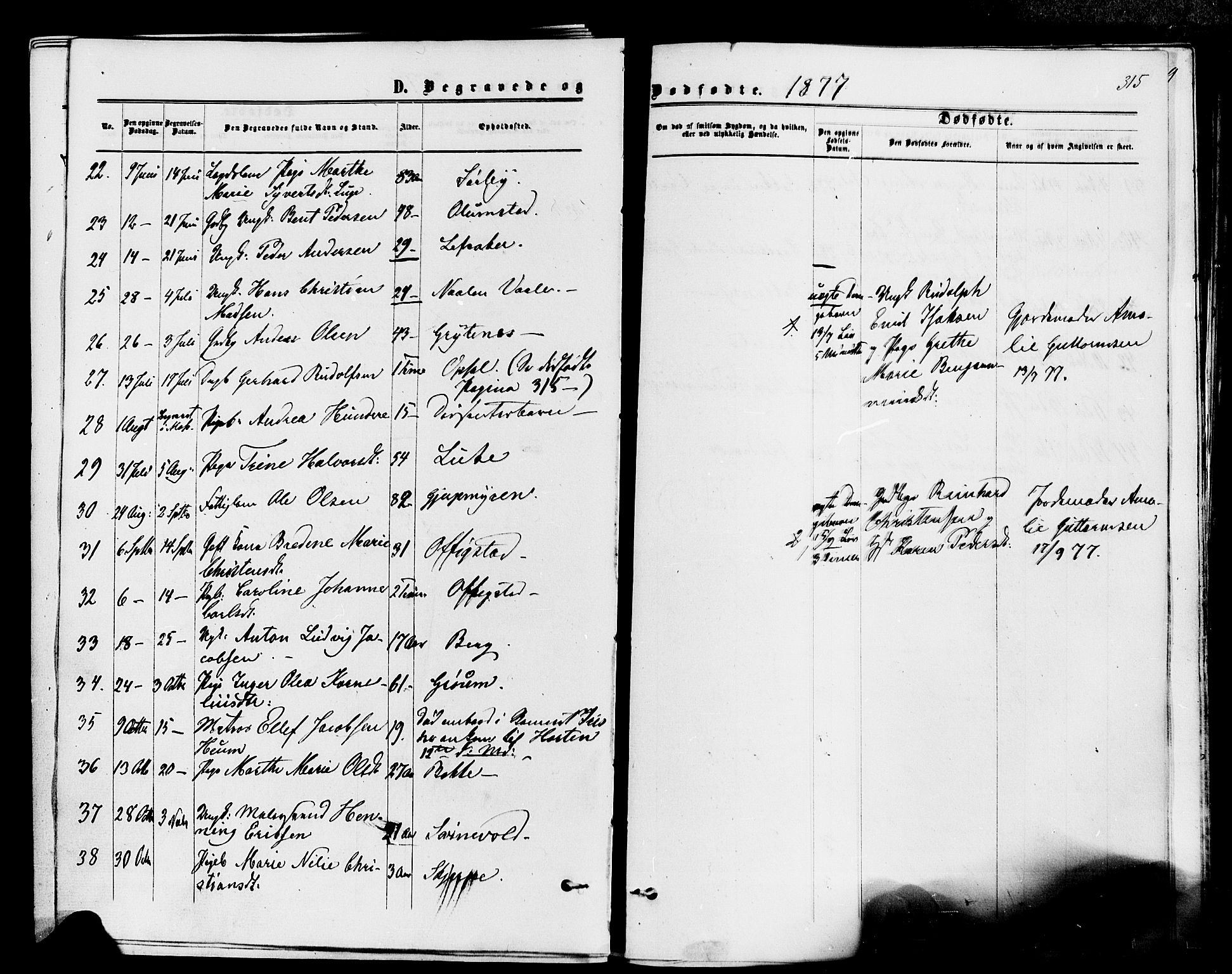 Våle kirkebøker, AV/SAKO-A-334/F/Fa/L0010: Parish register (official) no. I 10, 1861-1877, p. 315