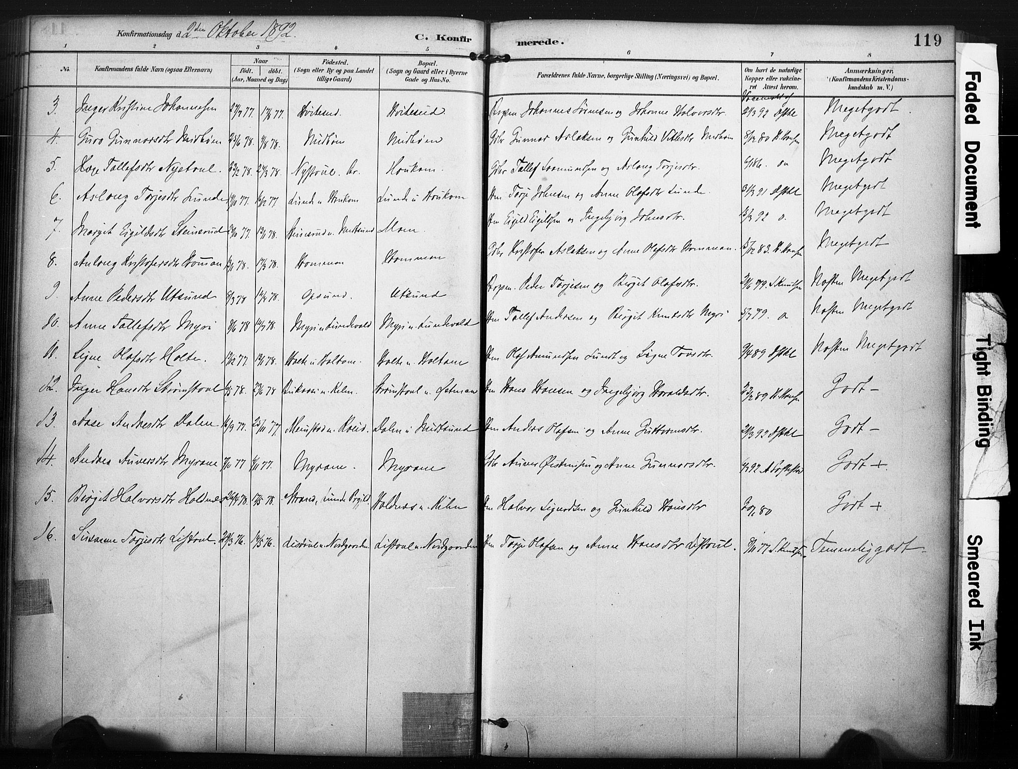 Kviteseid kirkebøker, SAKO/A-276/F/Fa/L0008: Parish register (official) no. I 8, 1882-1903, p. 119