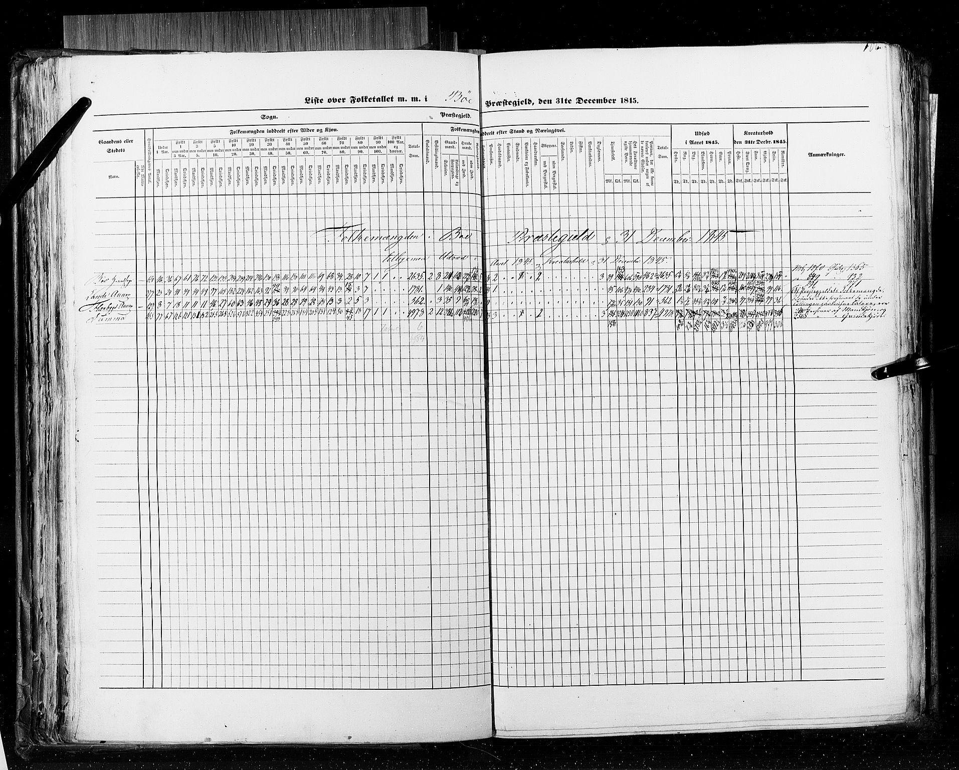 RA, Census 1845, vol. 5: Bratsberg amt og Nedenes og Råbyggelaget amt, 1845, p. 106