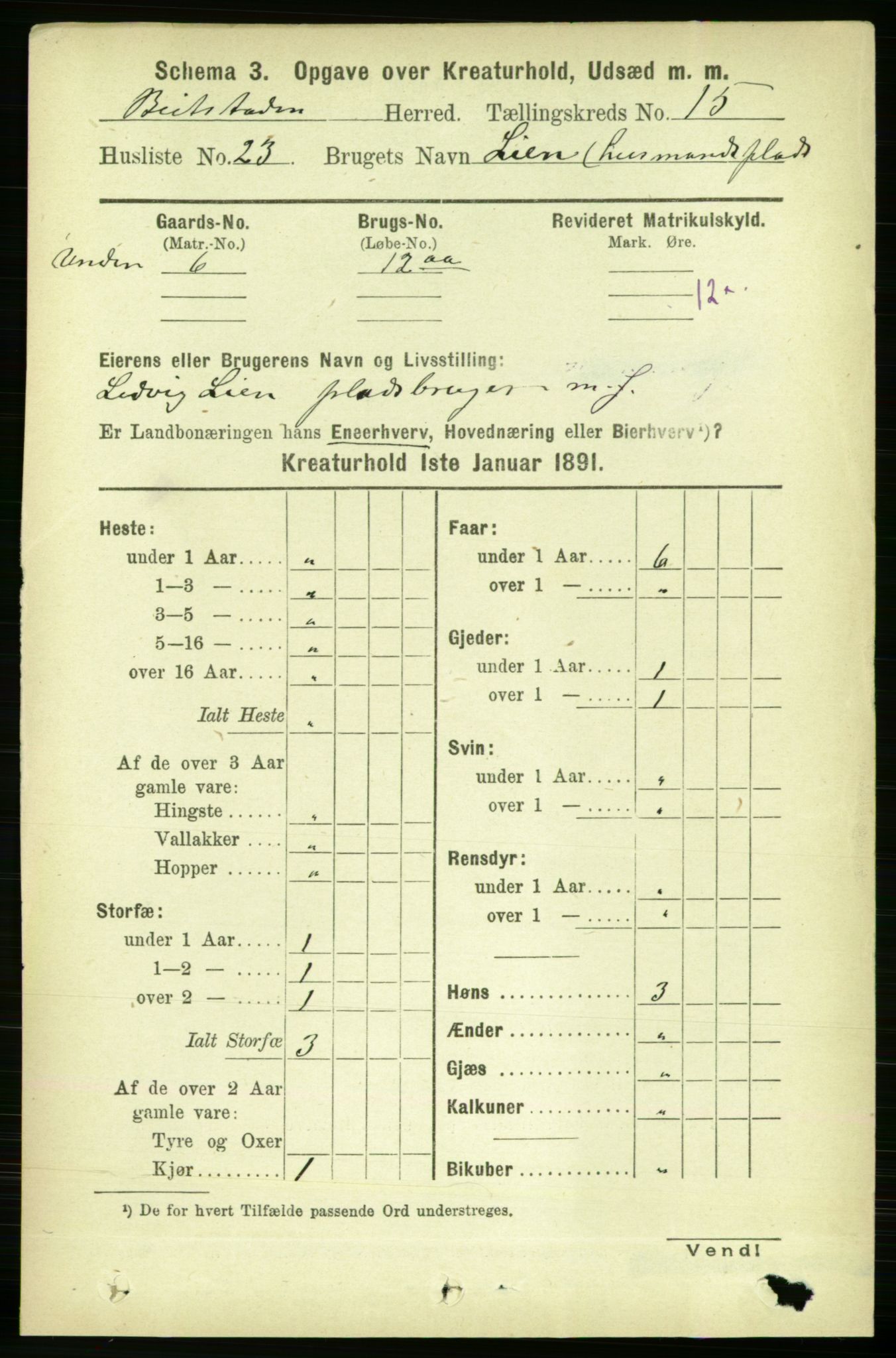 RA, 1891 census for 1727 Beitstad, 1891, p. 6653