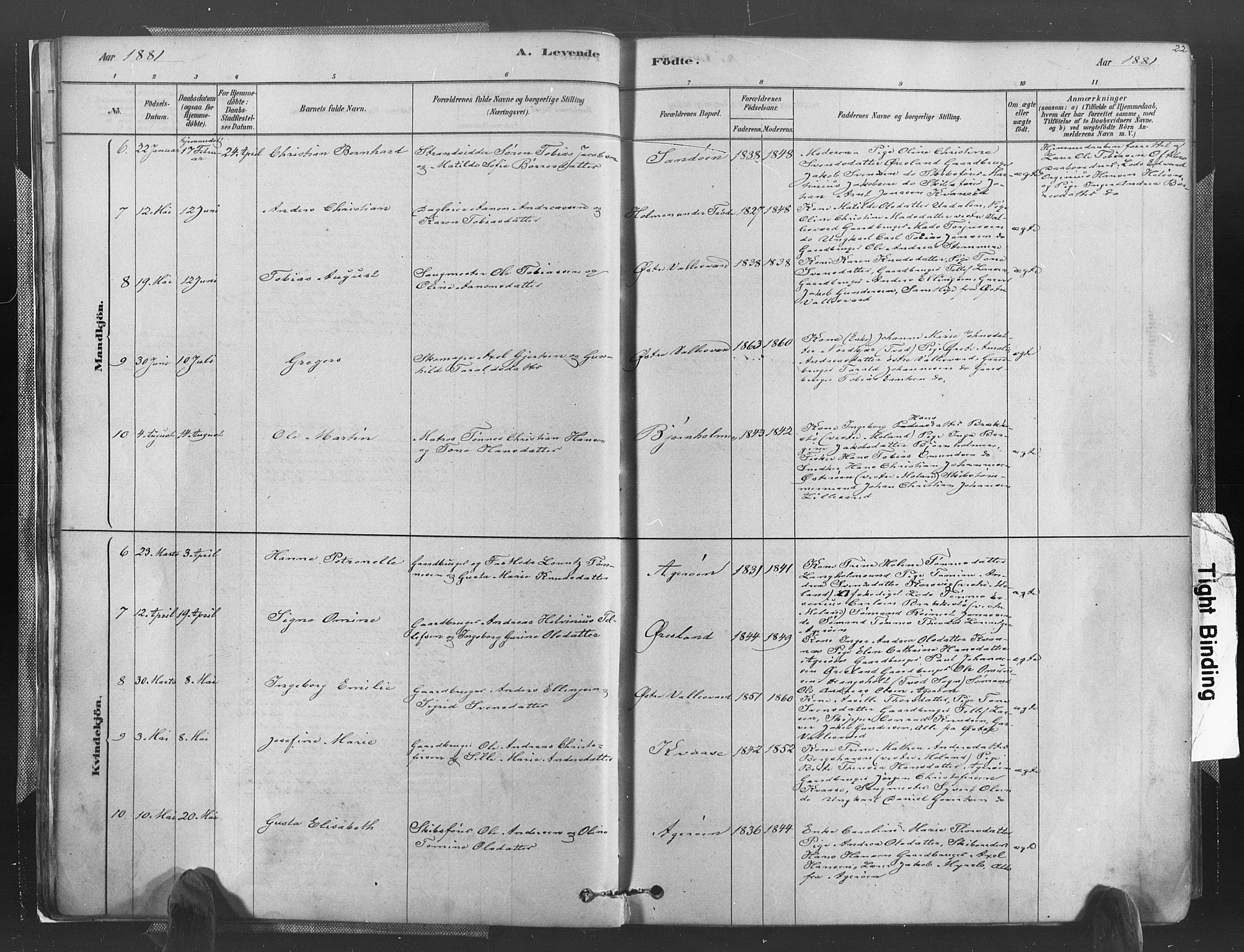 Høvåg sokneprestkontor, SAK/1111-0025/F/Fa/L0005: Parish register (official) no. A 5, 1878-1893, p. 22