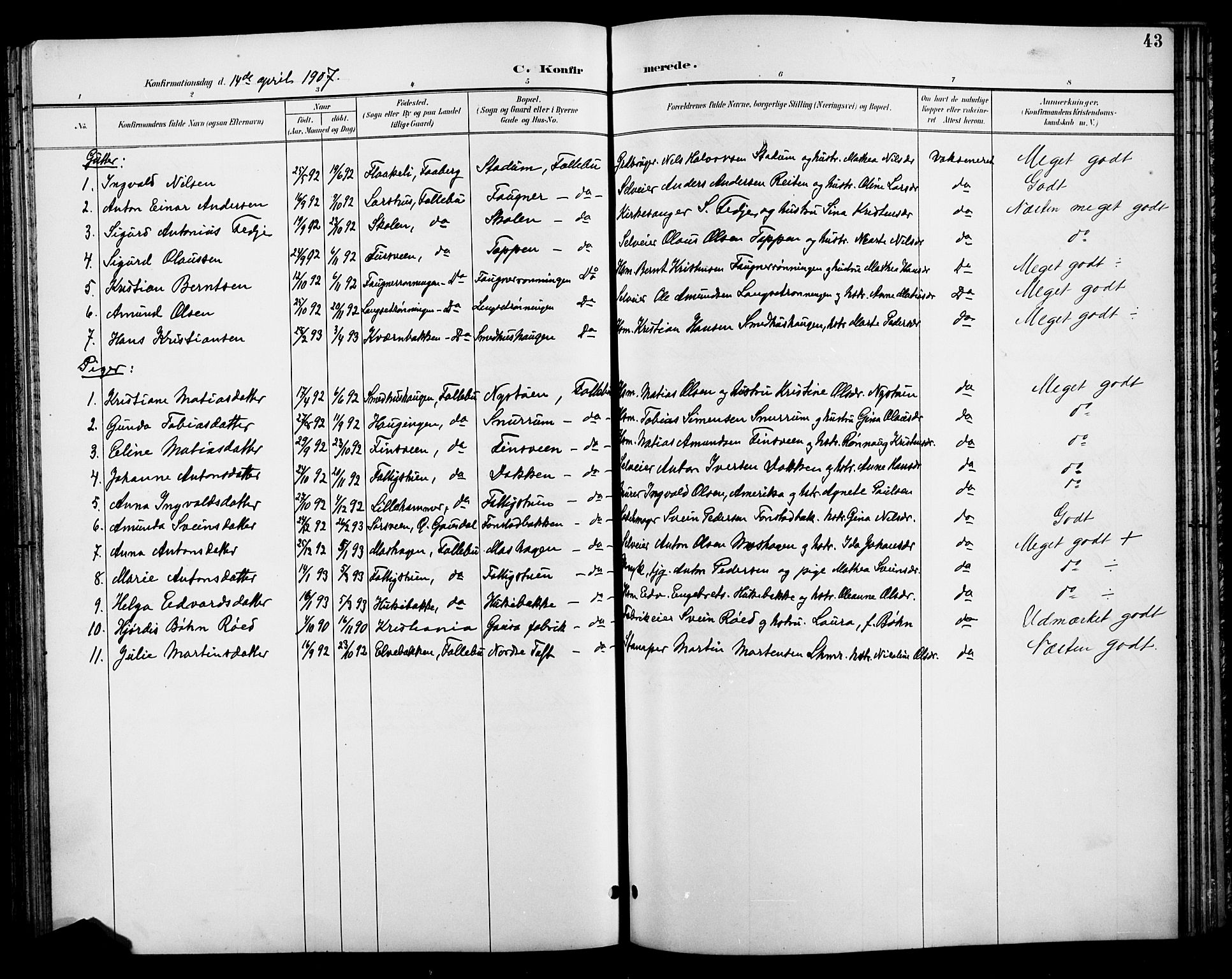 Østre Gausdal prestekontor, SAH/PREST-092/H/Ha/Hab/L0003: Parish register (copy) no. 3, 1894-1915, p. 43