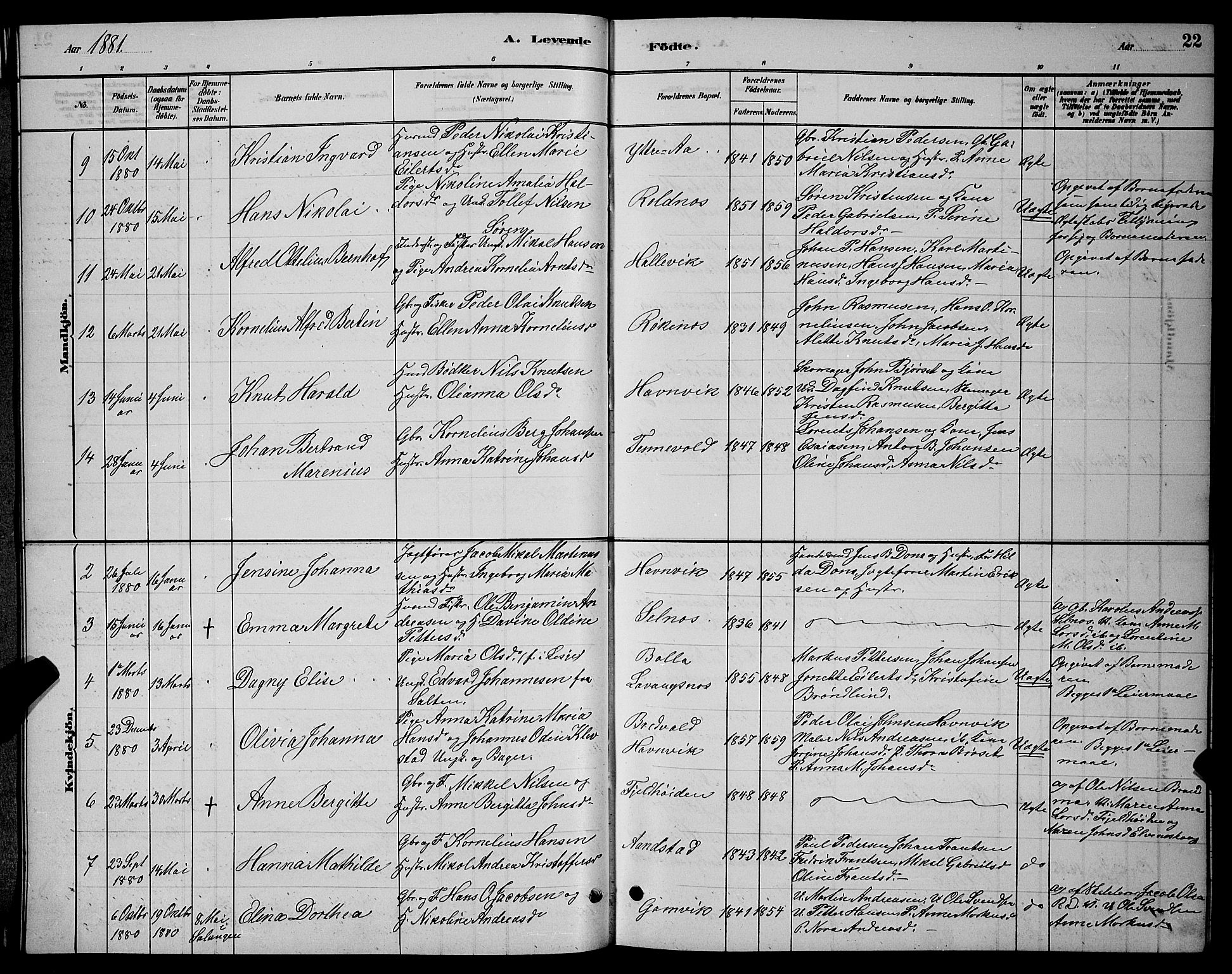 Ibestad sokneprestembete, AV/SATØ-S-0077/H/Ha/Hab/L0007klokker: Parish register (copy) no. 7, 1879-1889, p. 22