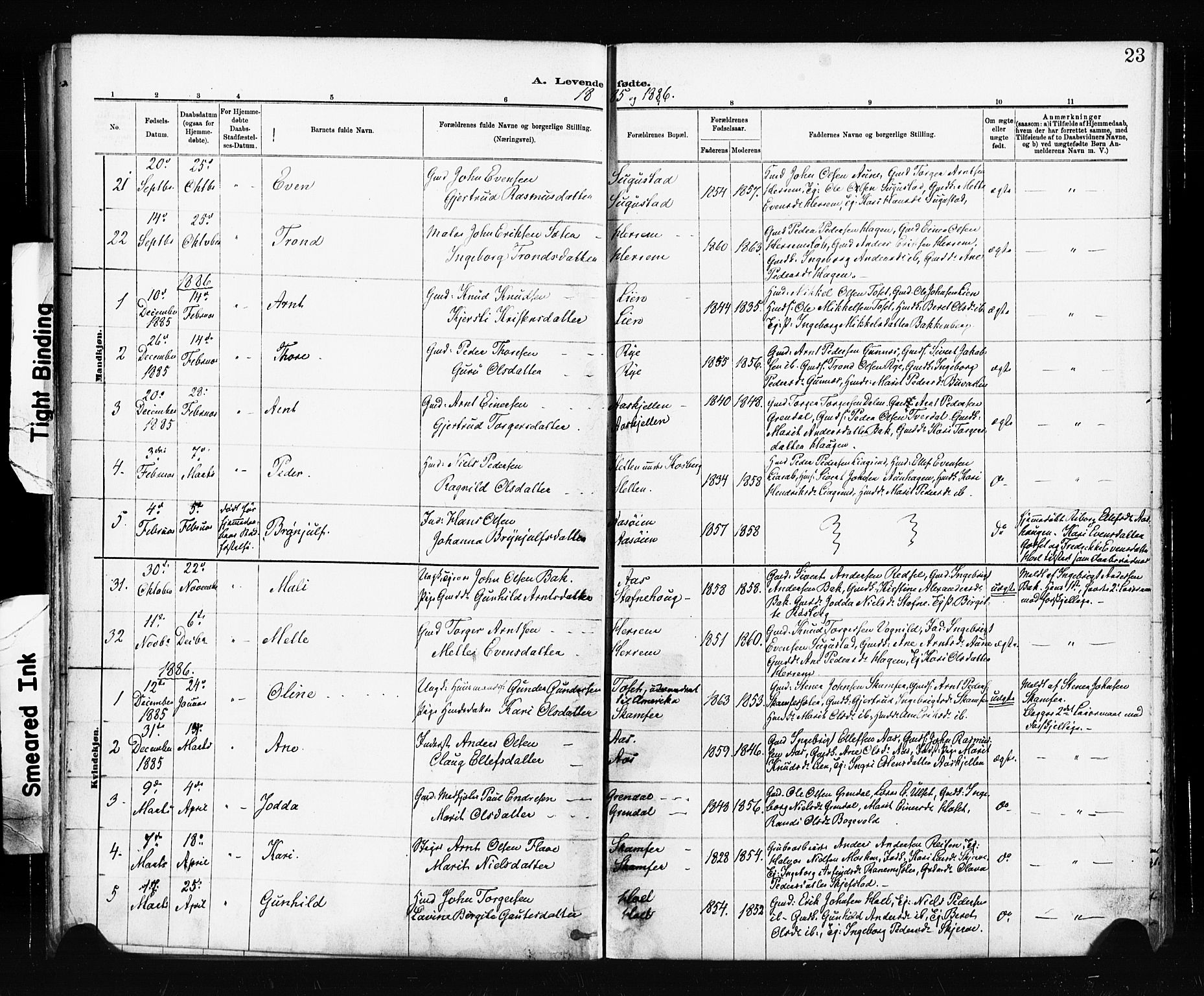 Ministerialprotokoller, klokkerbøker og fødselsregistre - Sør-Trøndelag, SAT/A-1456/674/L0871: Parish register (official) no. 674A03, 1880-1896, p. 23