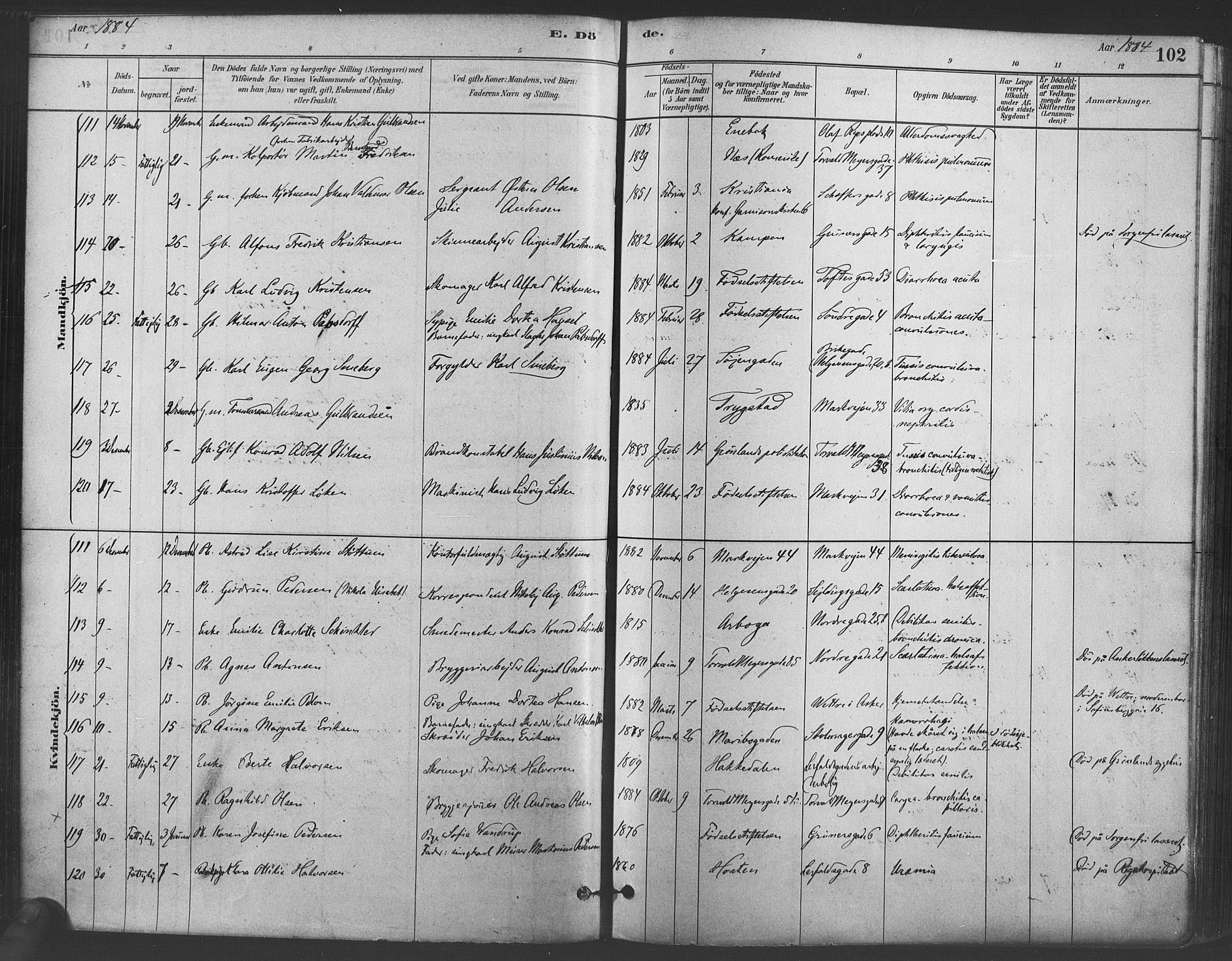 Paulus prestekontor Kirkebøker, AV/SAO-A-10871/F/Fa/L0005: Parish register (official) no. 5, 1879-1889, p. 102