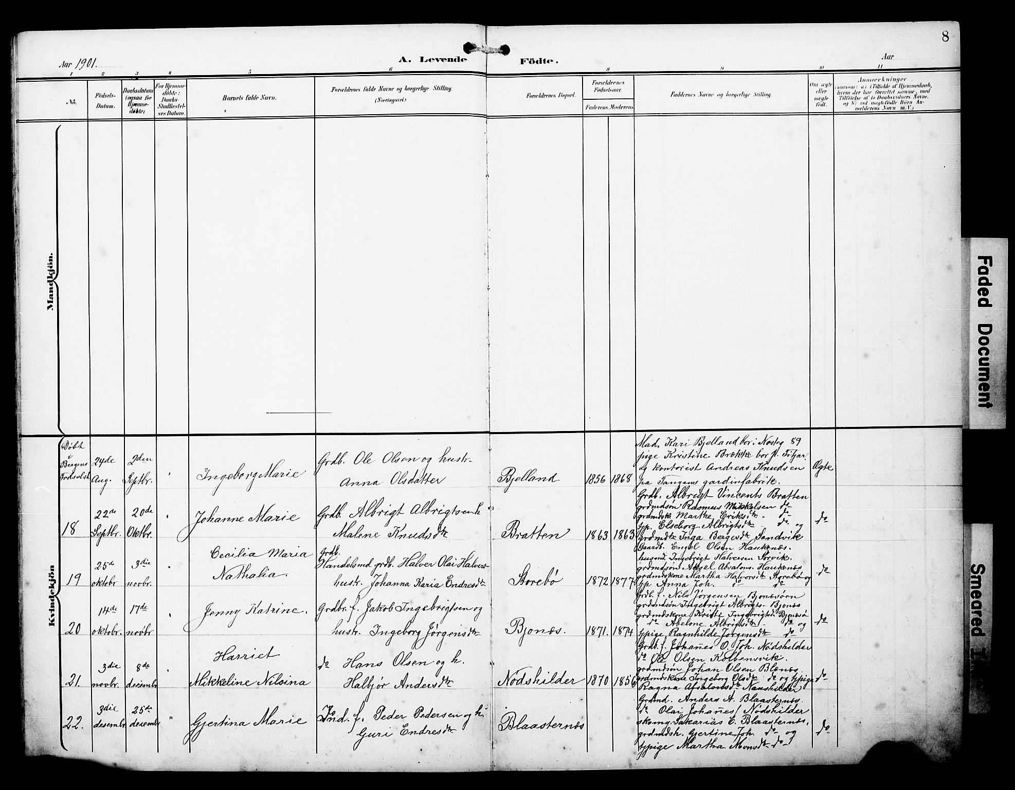 Austevoll sokneprestembete, AV/SAB-A-74201/H/Ha/Hab/Haba/L0004: Parish register (copy) no. A 4, 1901-1912, p. 8