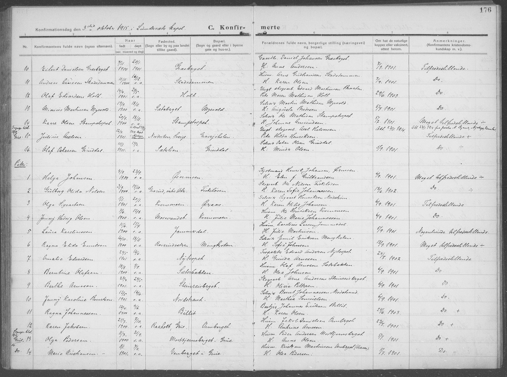 Brandval prestekontor, AV/SAH-PREST-034/H/Ha/Haa/L0004: Parish register (official) no. 4, 1910-1924, p. 176