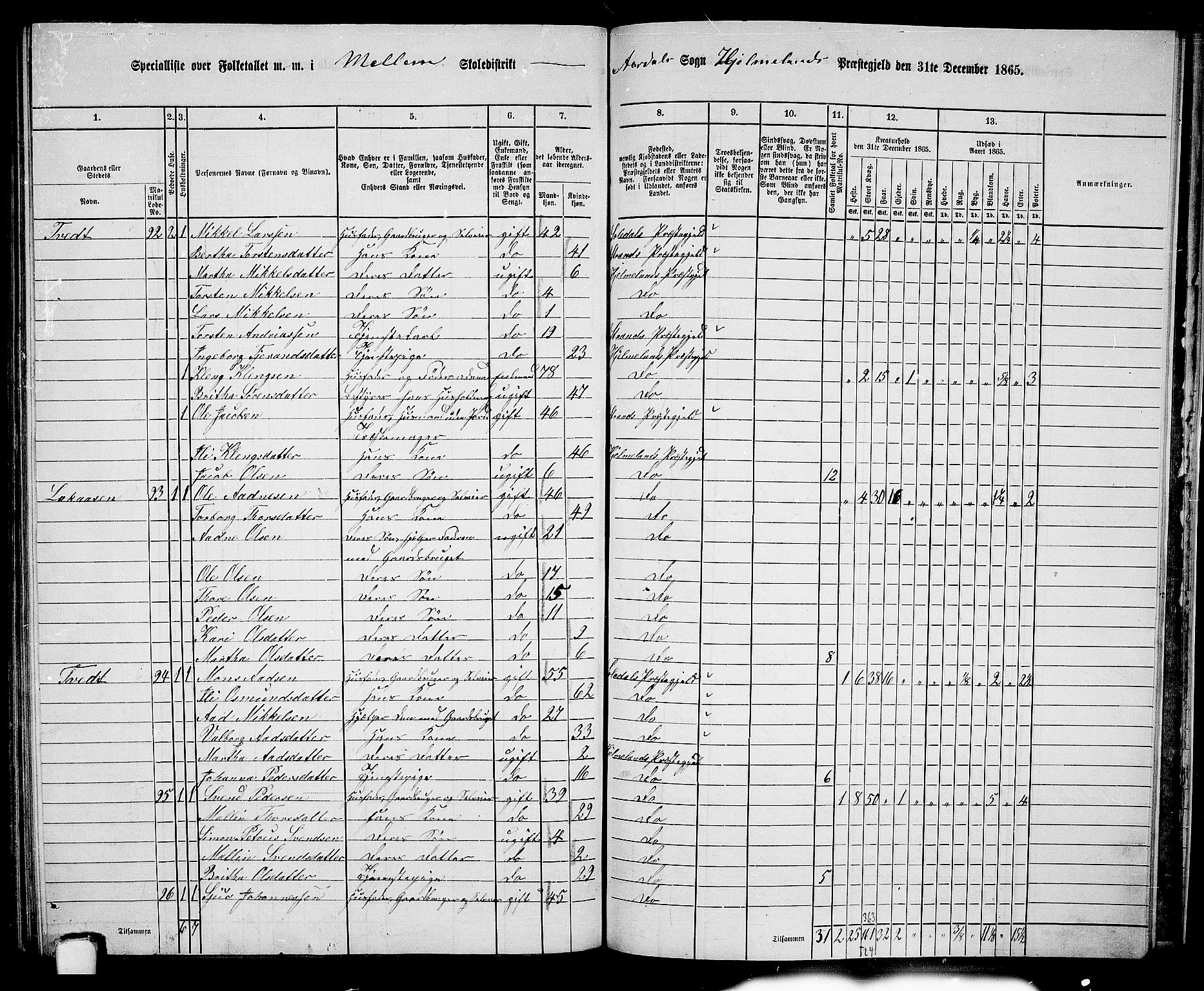 RA, 1865 census for Hjelmeland, 1865, p. 181