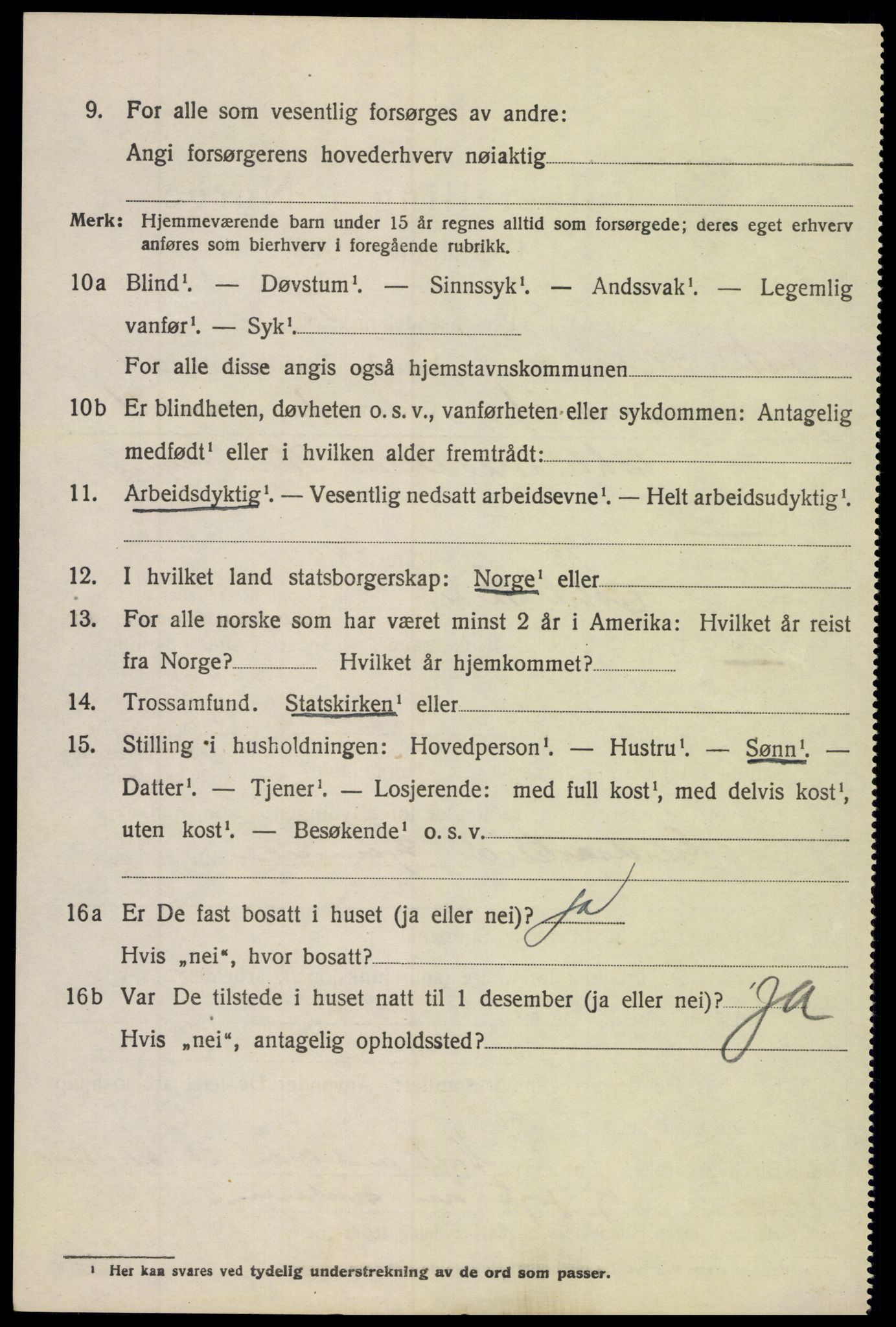 SAH, 1920 census for Øystre Slidre, 1920, p. 1008