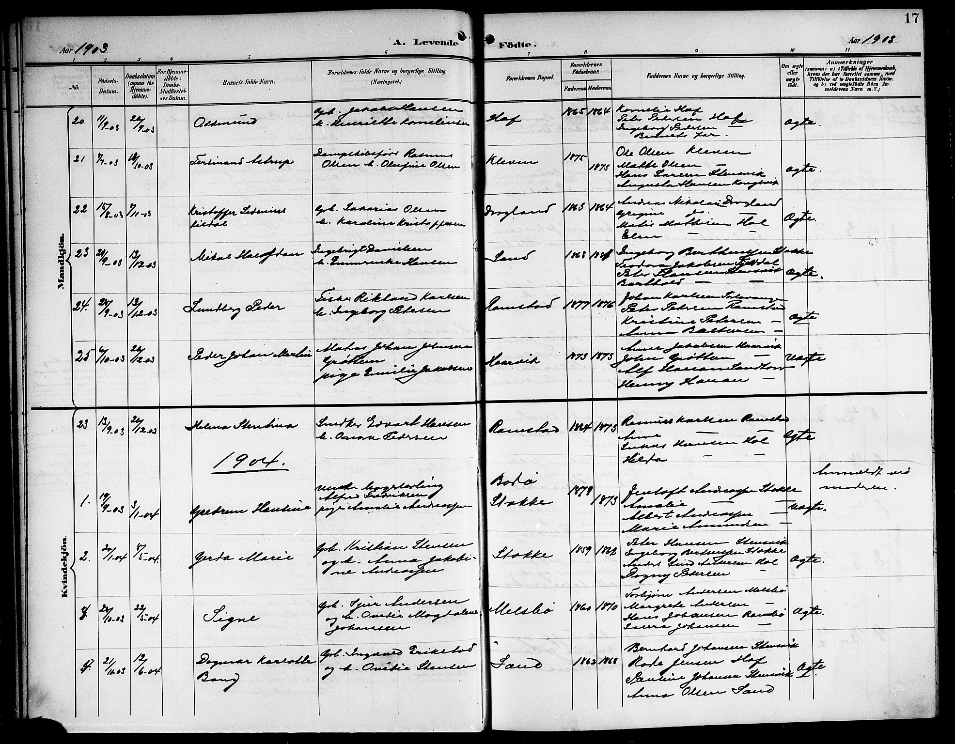 Ministerialprotokoller, klokkerbøker og fødselsregistre - Nordland, AV/SAT-A-1459/865/L0932: Parish register (copy) no. 865C04, 1901-1917, p. 17