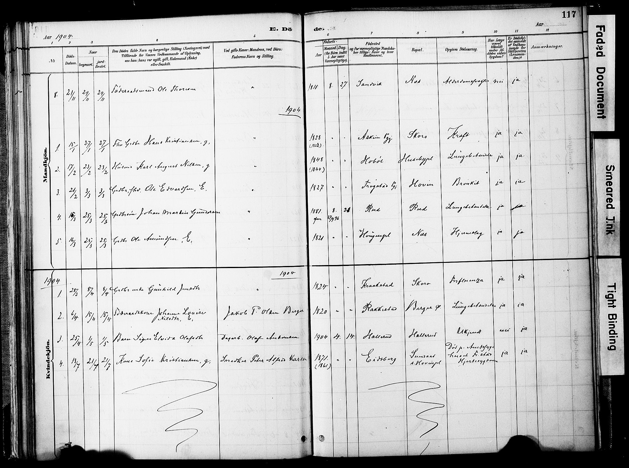 Spydeberg prestekontor Kirkebøker, SAO/A-10924/F/Fb/L0001: Parish register (official) no. II 1, 1886-1907, p. 117