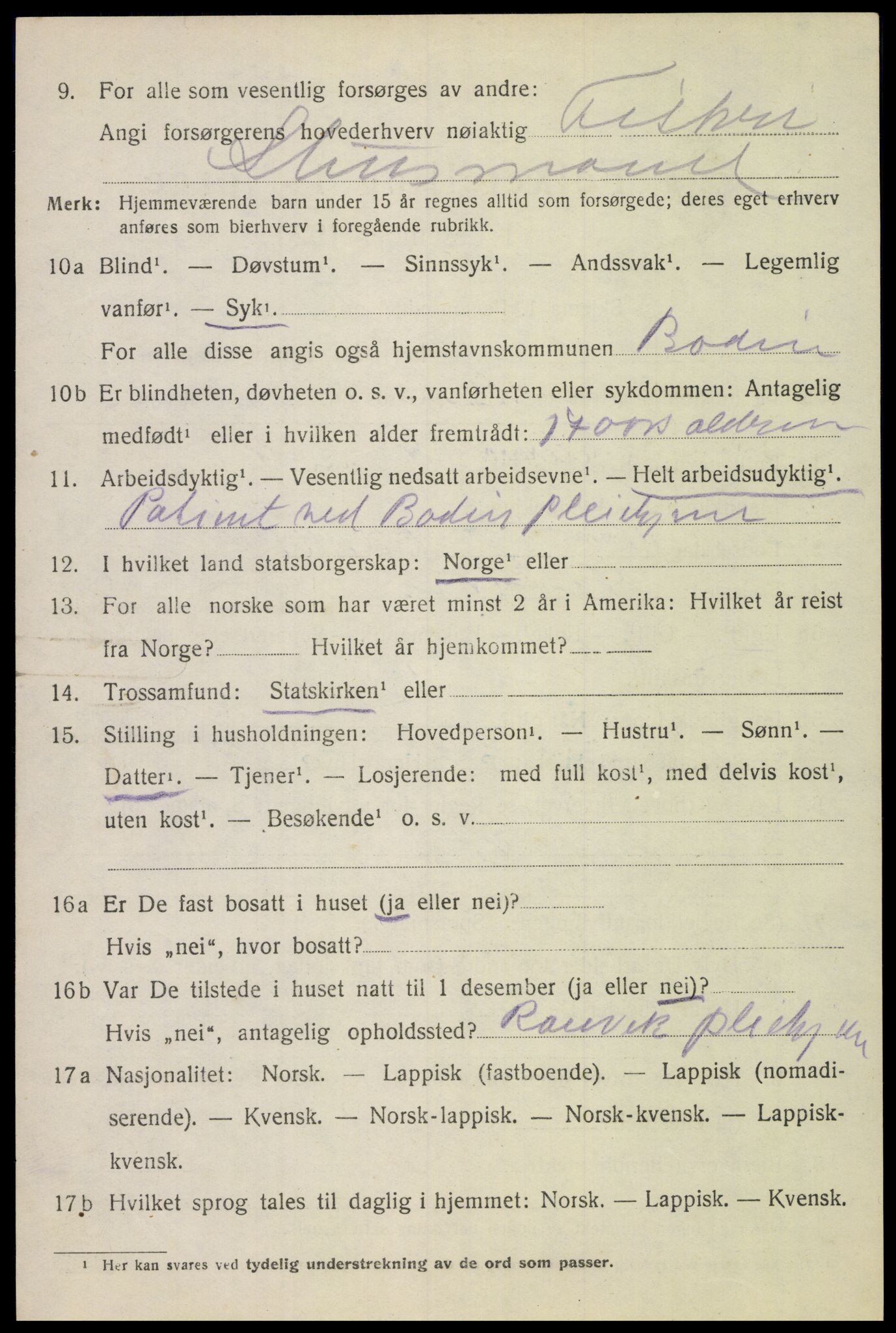 SAT, 1920 census for Bodin, 1920, p. 10045