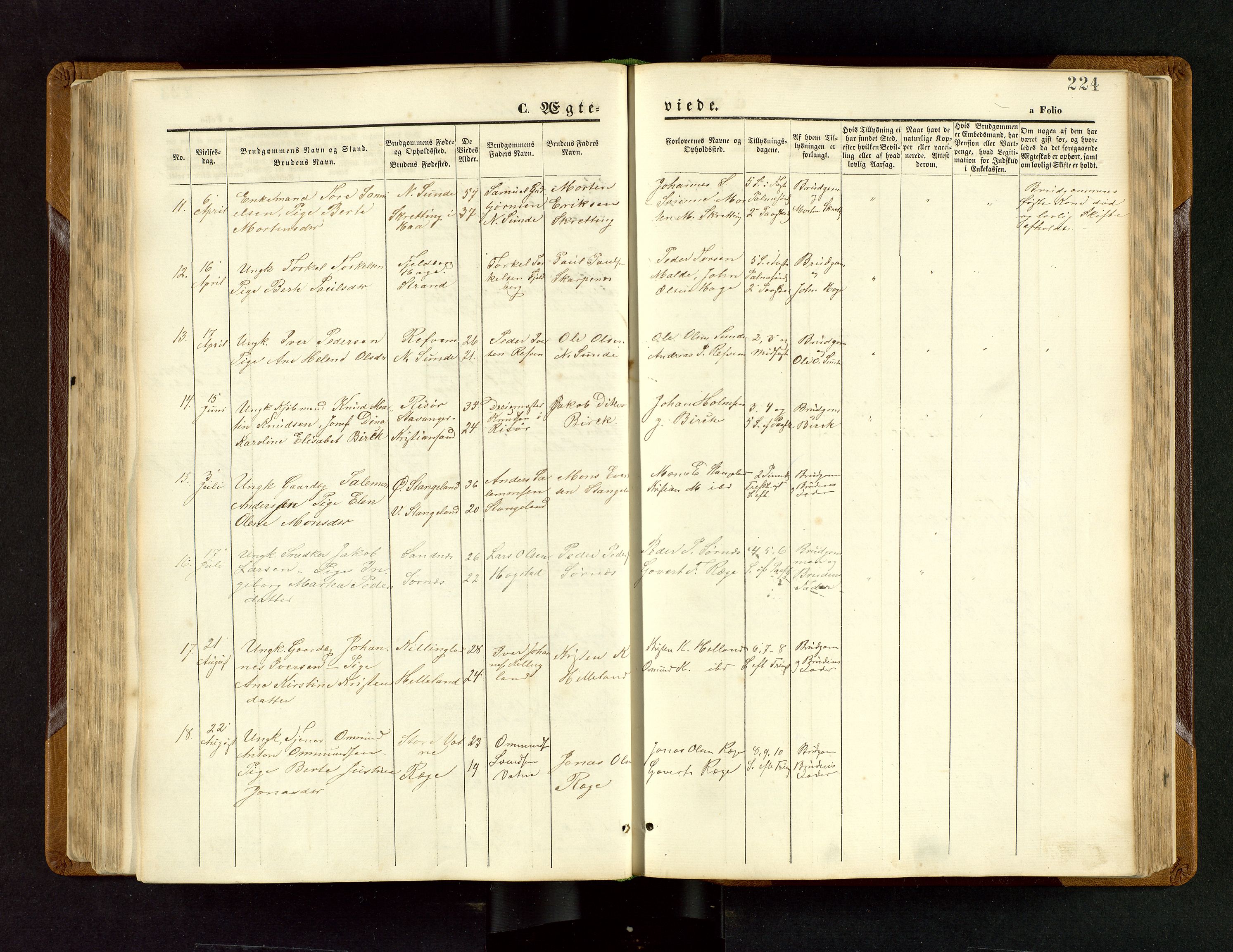 Håland sokneprestkontor, SAST/A-101802/001/30BB/L0003: Parish register (copy) no. B 3, 1873-1893, p. 224