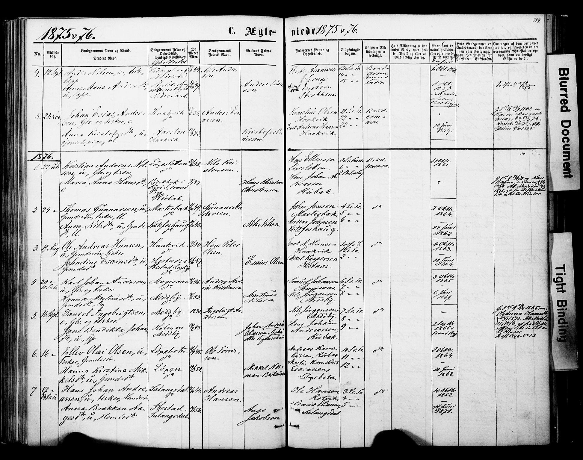 Ibestad sokneprestembete, SATØ/S-0077/H/Ha/Haa/L0013kirke: Parish register (official) no. 13, 1865-1879, p. 119