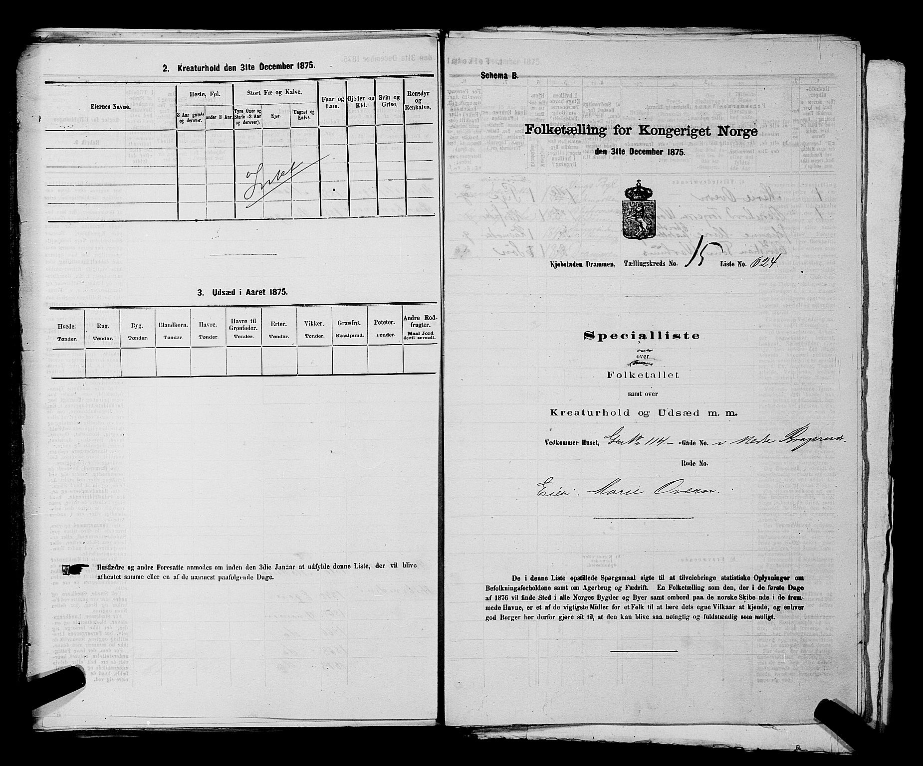 SAKO, 1875 census for 0602 Drammen, 1875, p. 1747