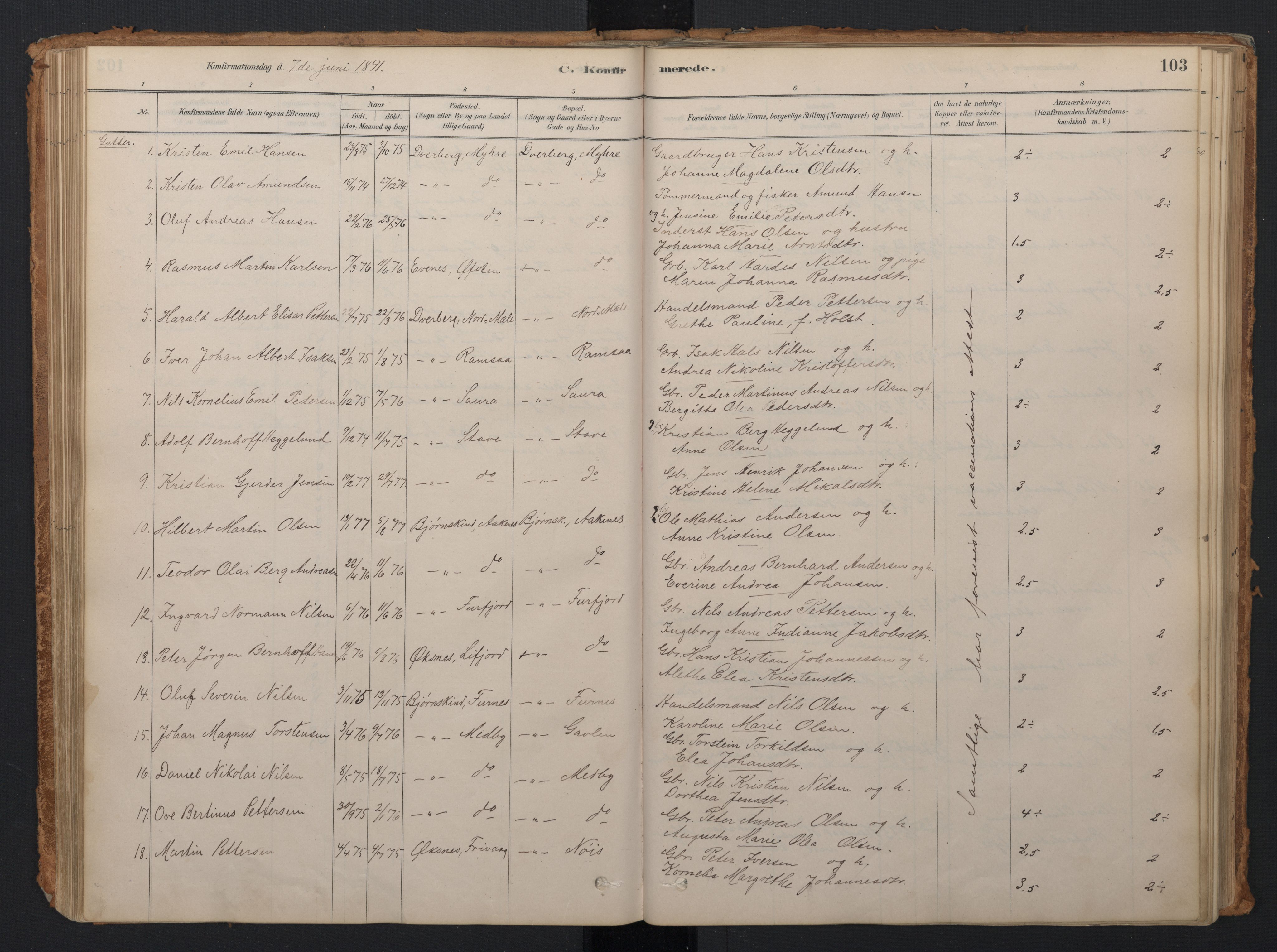 Ministerialprotokoller, klokkerbøker og fødselsregistre - Nordland, AV/SAT-A-1459/897/L1399: Parish register (official) no. 897A06, 1881-1896, p. 103