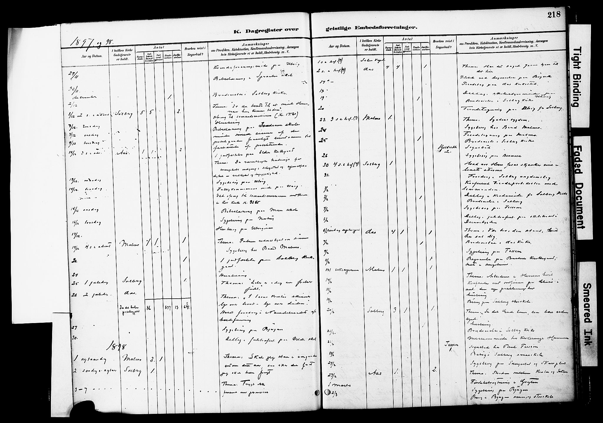 Ministerialprotokoller, klokkerbøker og fødselsregistre - Nord-Trøndelag, AV/SAT-A-1458/741/L0396: Parish register (official) no. 741A10, 1889-1901, p. 218