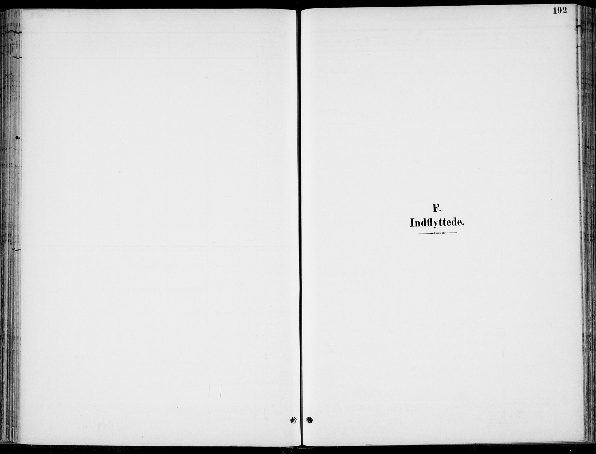 Hole kirkebøker, AV/SAKO-A-228/F/Fa/L0009: Parish register (official) no. I 9, 1892-1907, p. 192
