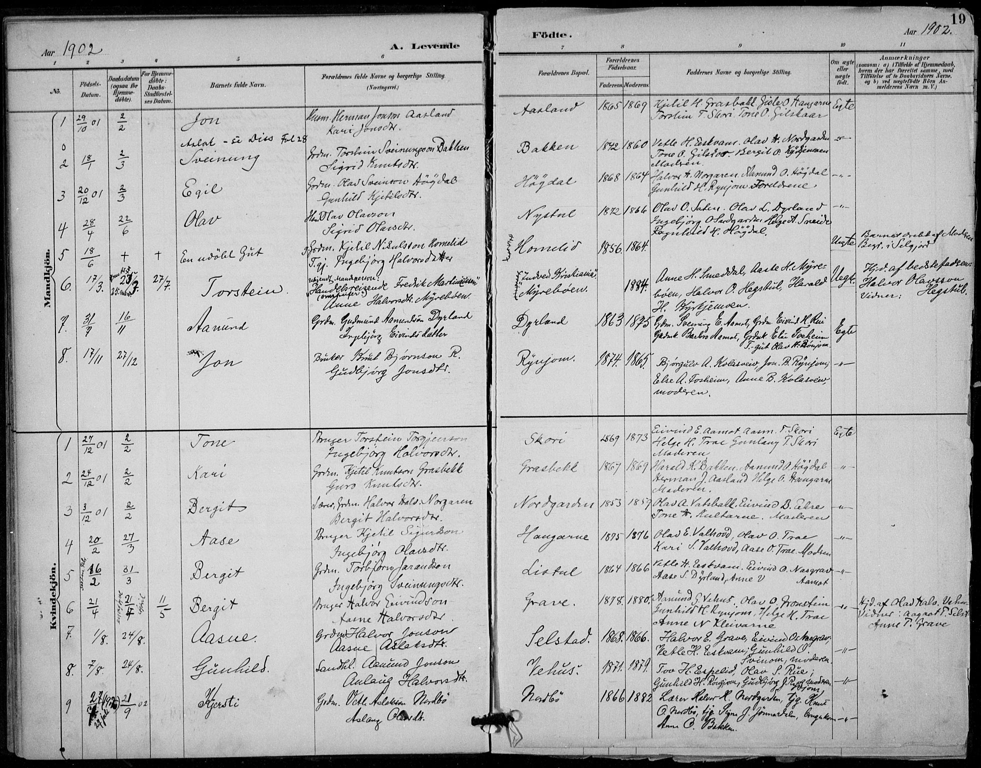 Seljord kirkebøker, SAKO/A-20/F/Fc/L0002: Parish register (official) no. III 2, 1887-1920, p. 19