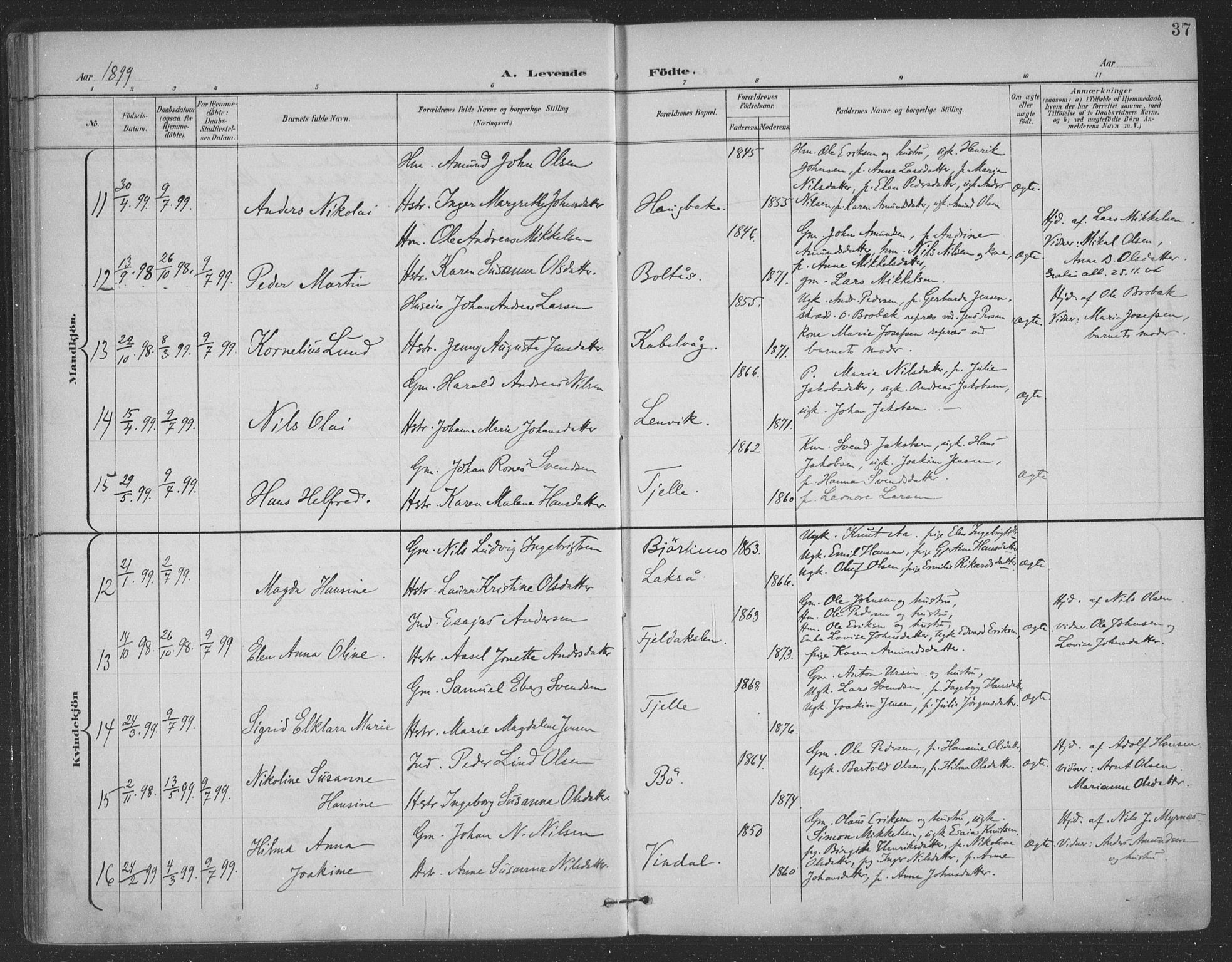 Ministerialprotokoller, klokkerbøker og fødselsregistre - Nordland, SAT/A-1459/863/L0899: Parish register (official) no. 863A11, 1897-1906, p. 37