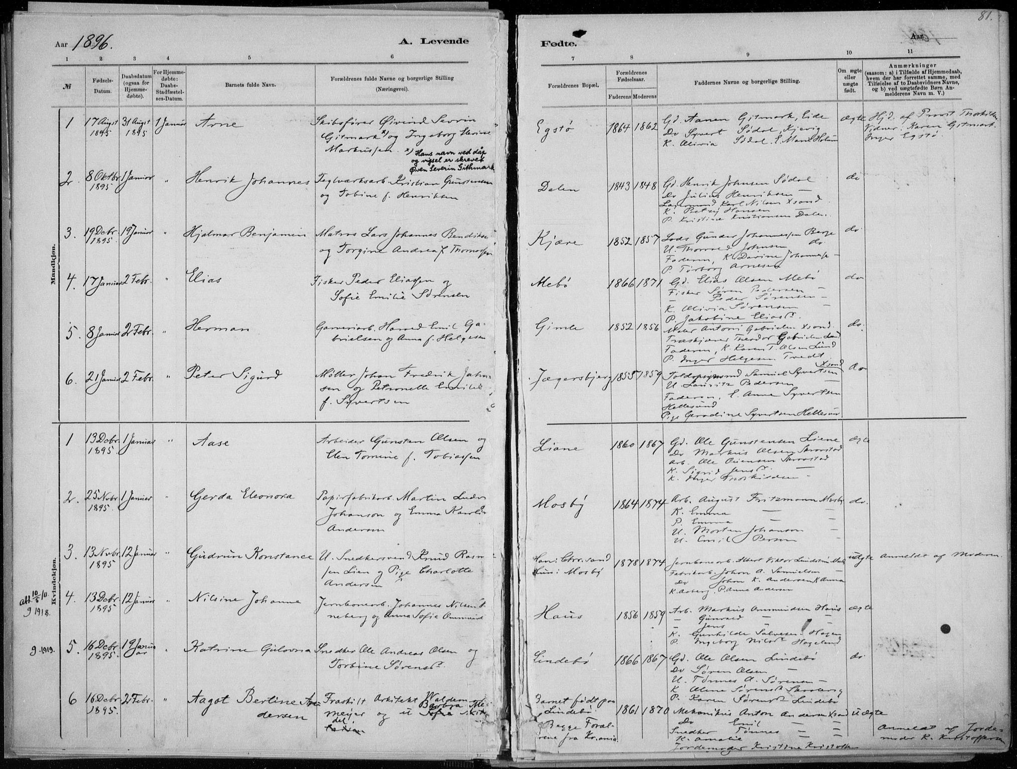 Oddernes sokneprestkontor, AV/SAK-1111-0033/F/Fa/Faa/L0009: Parish register (official) no. A 9, 1884-1896, p. 81