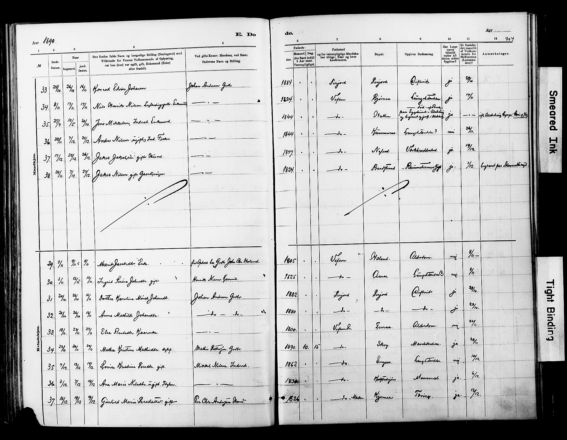 Ministerialprotokoller, klokkerbøker og fødselsregistre - Nordland, SAT/A-1459/820/L0295: Parish register (official) no. 820A16, 1880-1896, p. 404