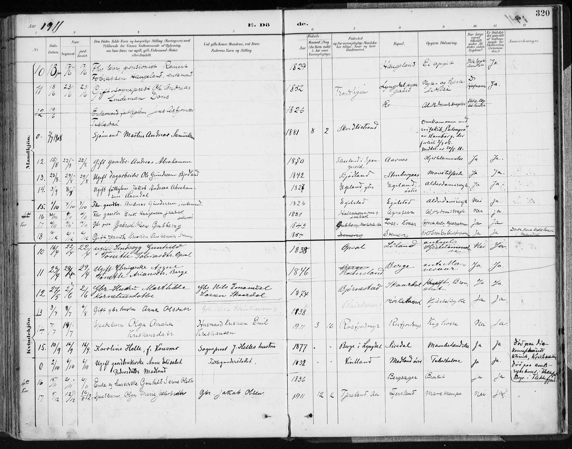 Lyngdal sokneprestkontor, SAK/1111-0029/F/Fa/Fac/L0012: Parish register (official) no. A 12, 1894-1918, p. 320