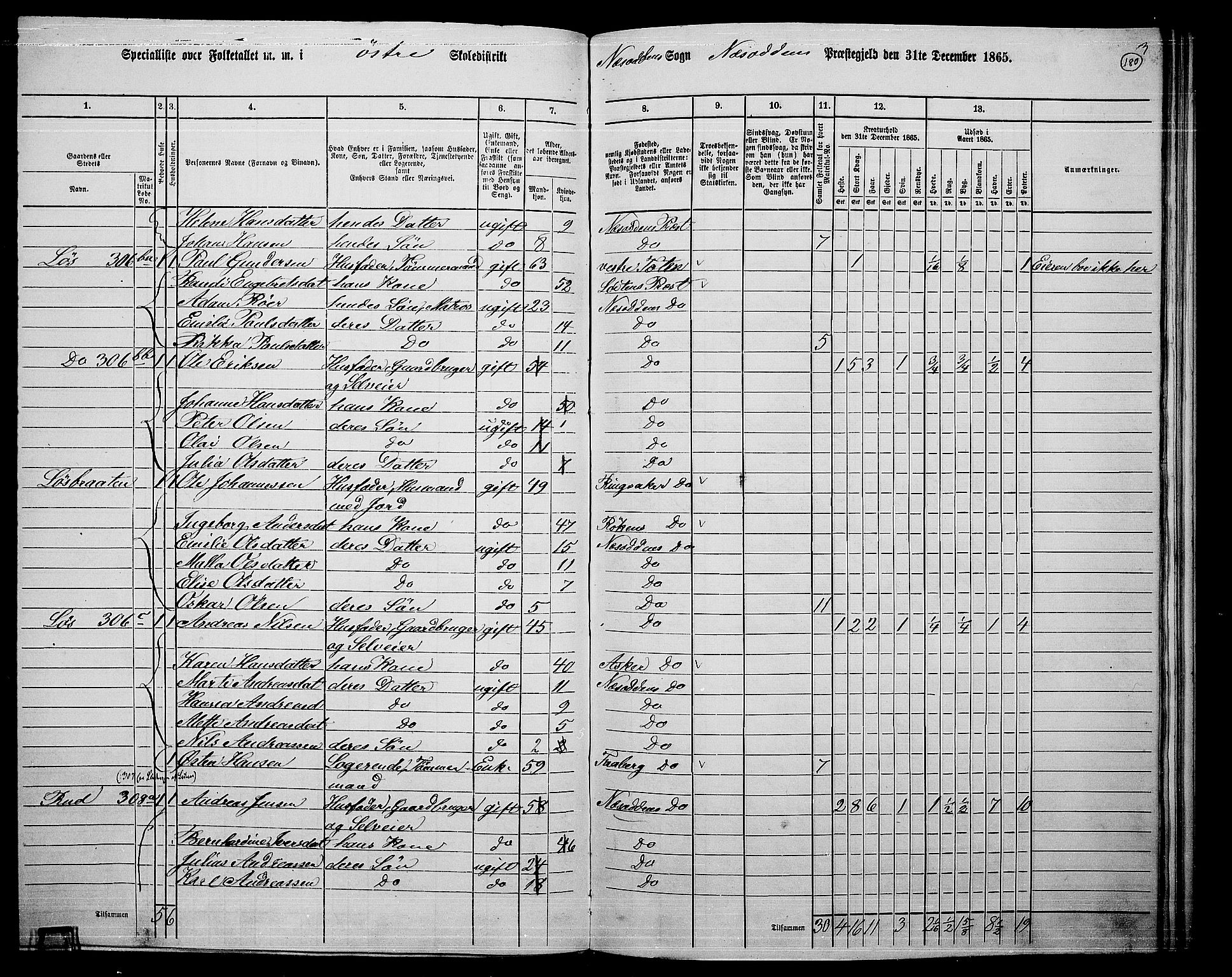 RA, 1865 census for Nesodden, 1865, p. 22