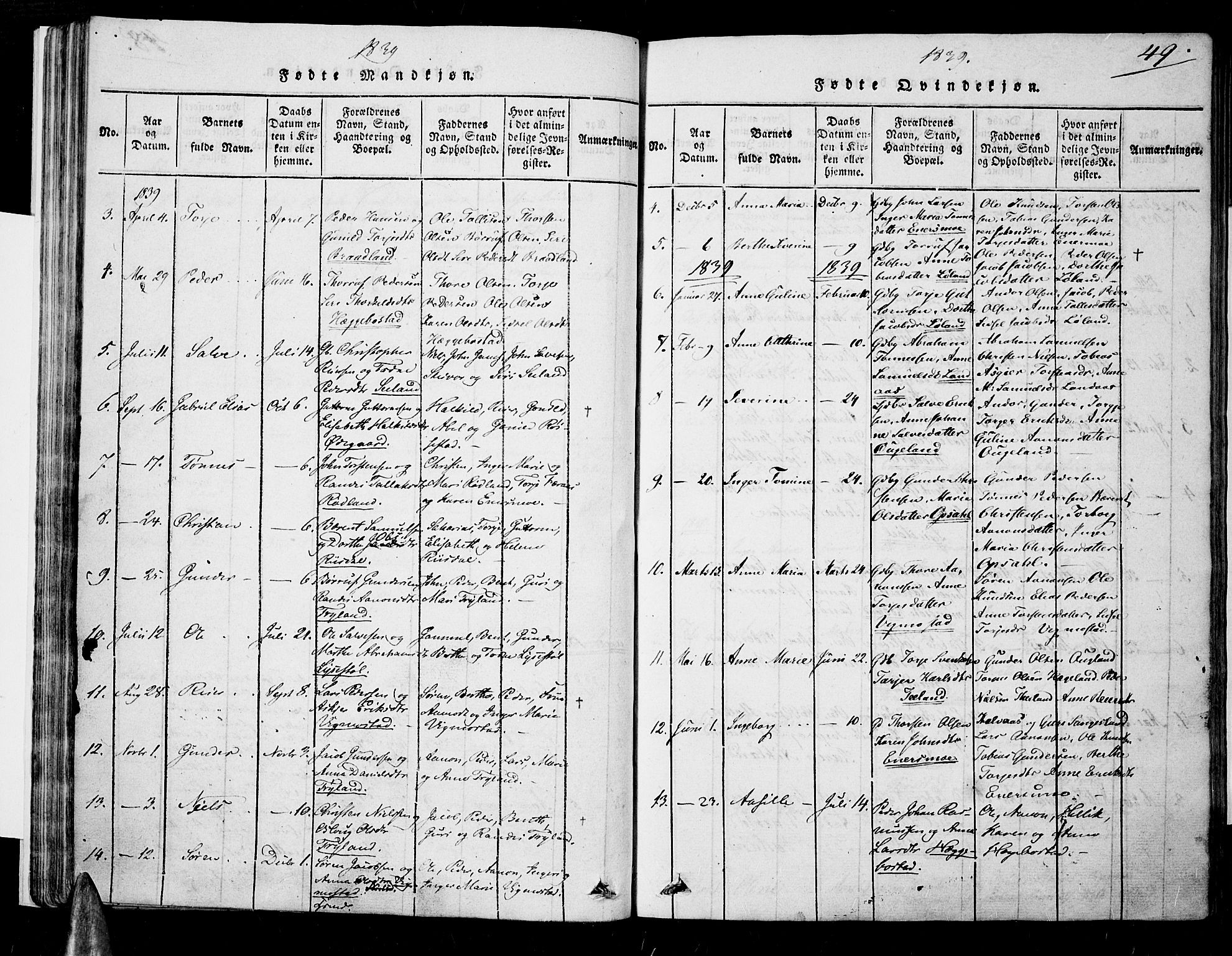 Nord-Audnedal sokneprestkontor, SAK/1111-0032/F/Fa/Fab/L0001: Parish register (official) no. A 1, 1816-1858, p. 49