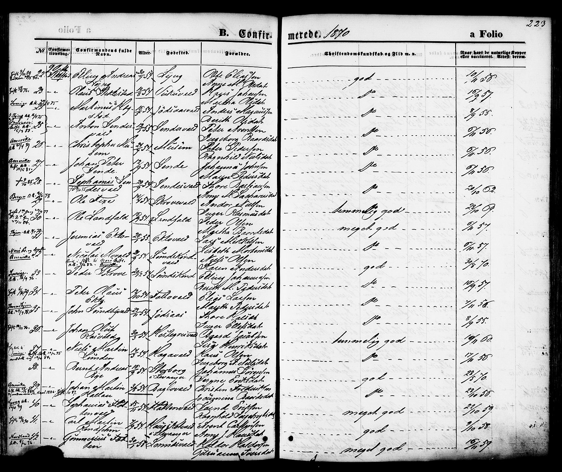 Ministerialprotokoller, klokkerbøker og fødselsregistre - Nord-Trøndelag, SAT/A-1458/723/L0242: Parish register (official) no. 723A11, 1870-1880, p. 223