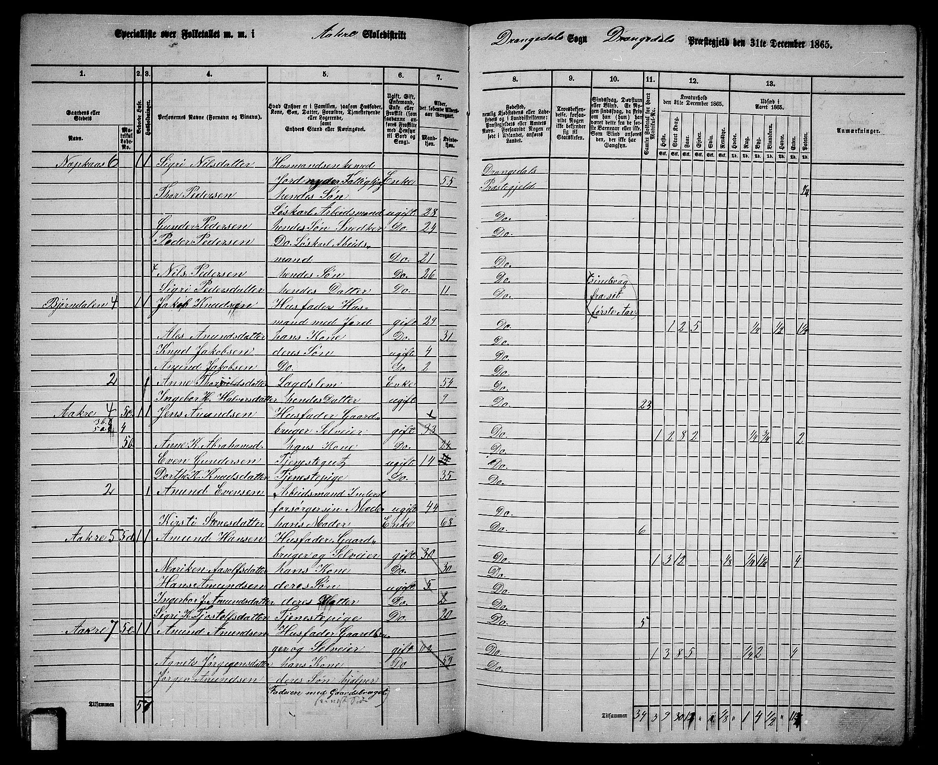 RA, 1865 census for Drangedal, 1865, p. 88