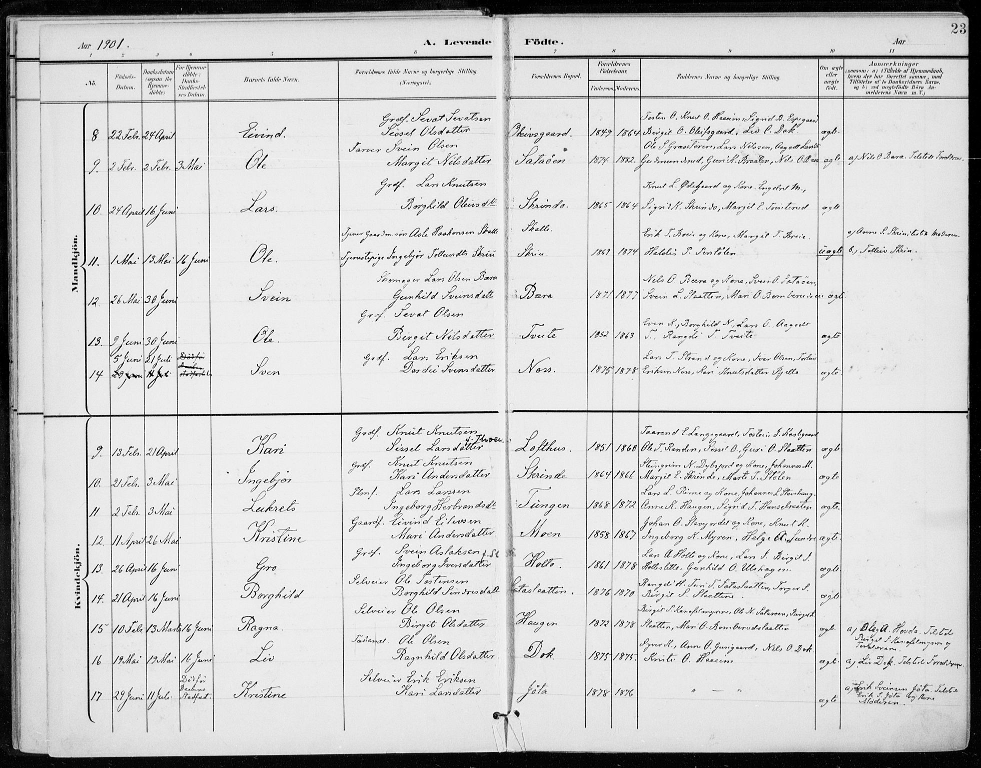 Ål kirkebøker, AV/SAKO-A-249/F/Fa/L0009: Parish register (official) no. I 9, 1897-1915, p. 23