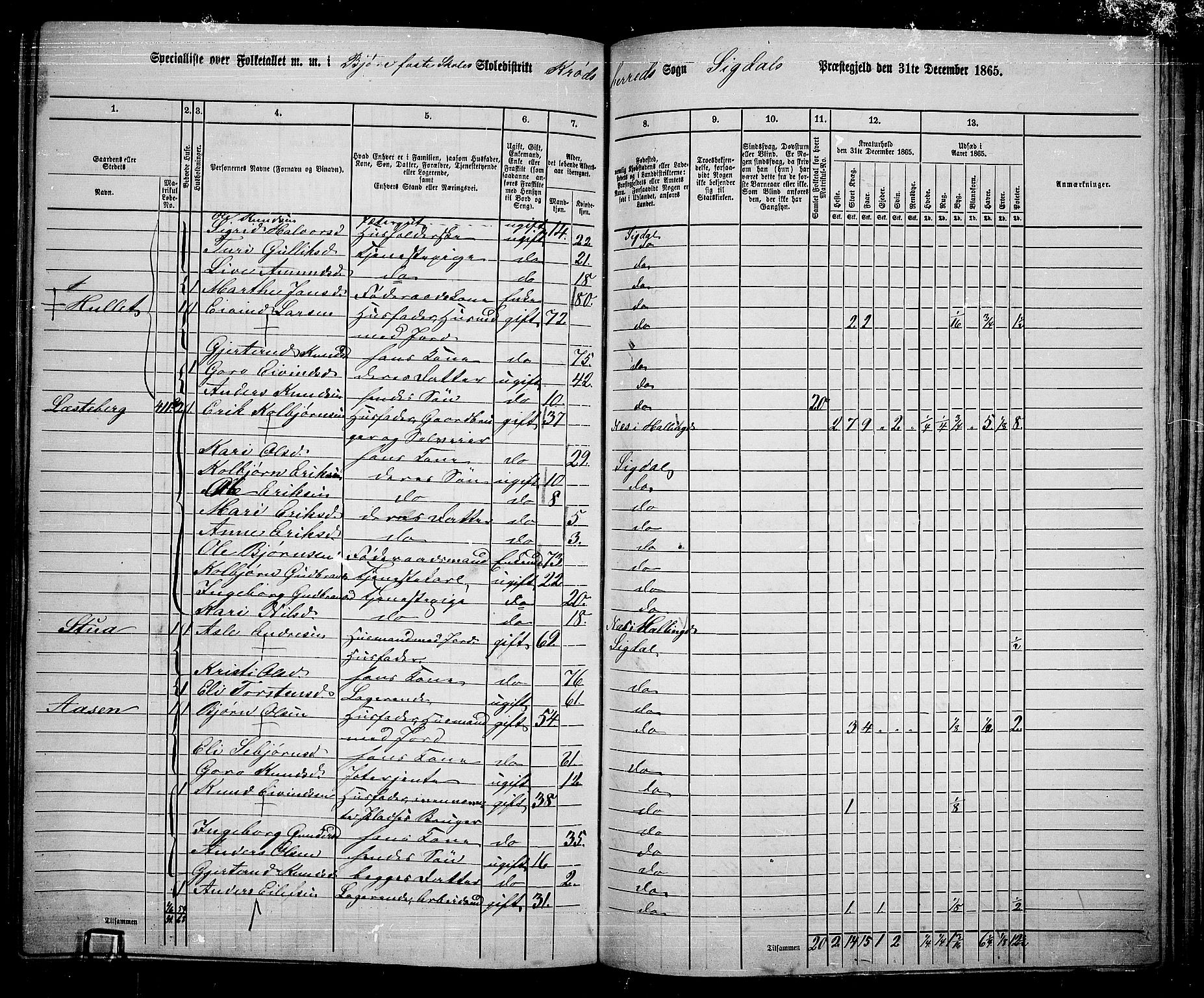 RA, 1865 census for Sigdal, 1865, p. 238