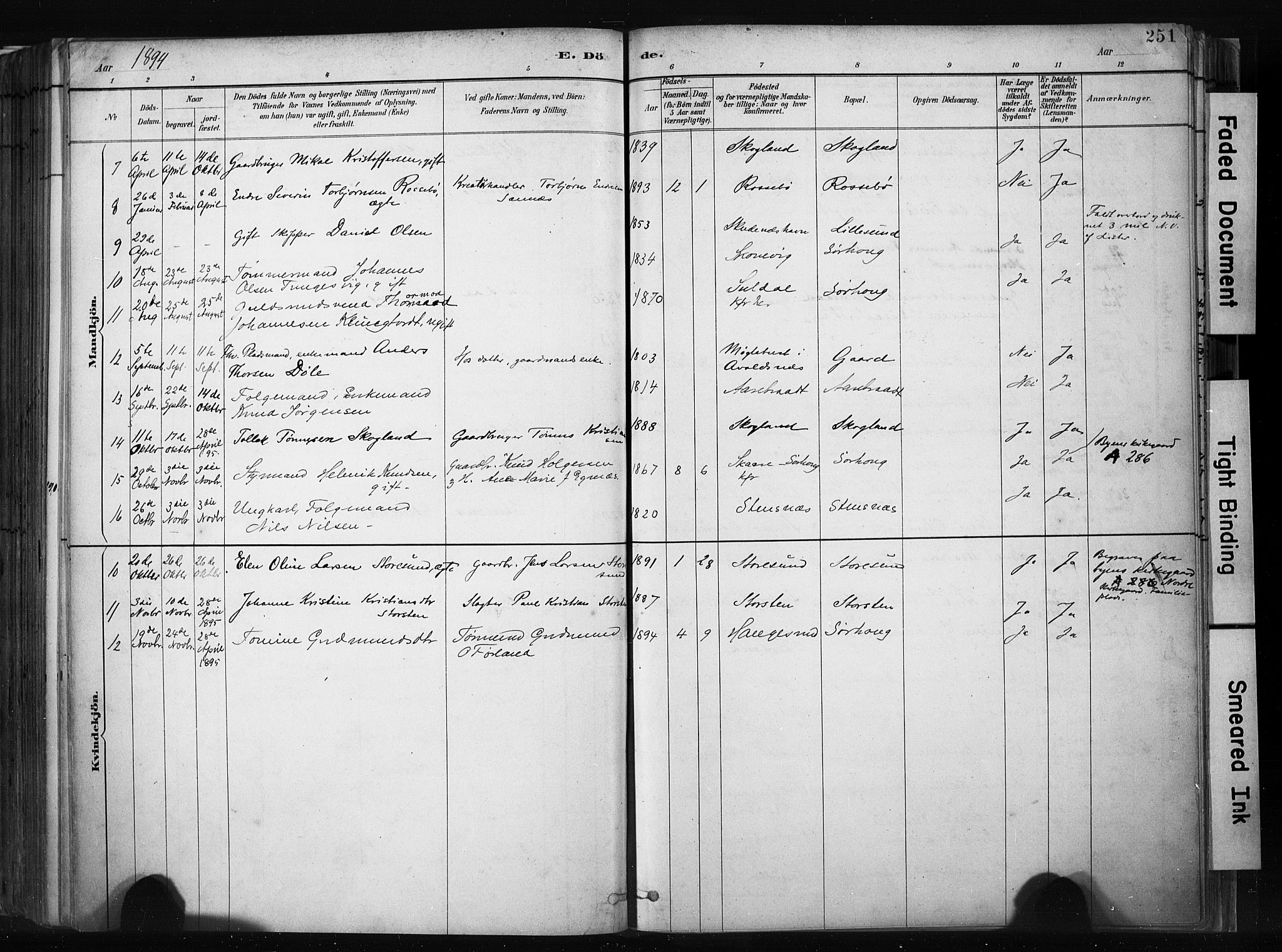 Haugesund sokneprestkontor, SAST/A -101863/H/Ha/Haa/L0004: Parish register (official) no. A 4, 1886-1908, p. 251