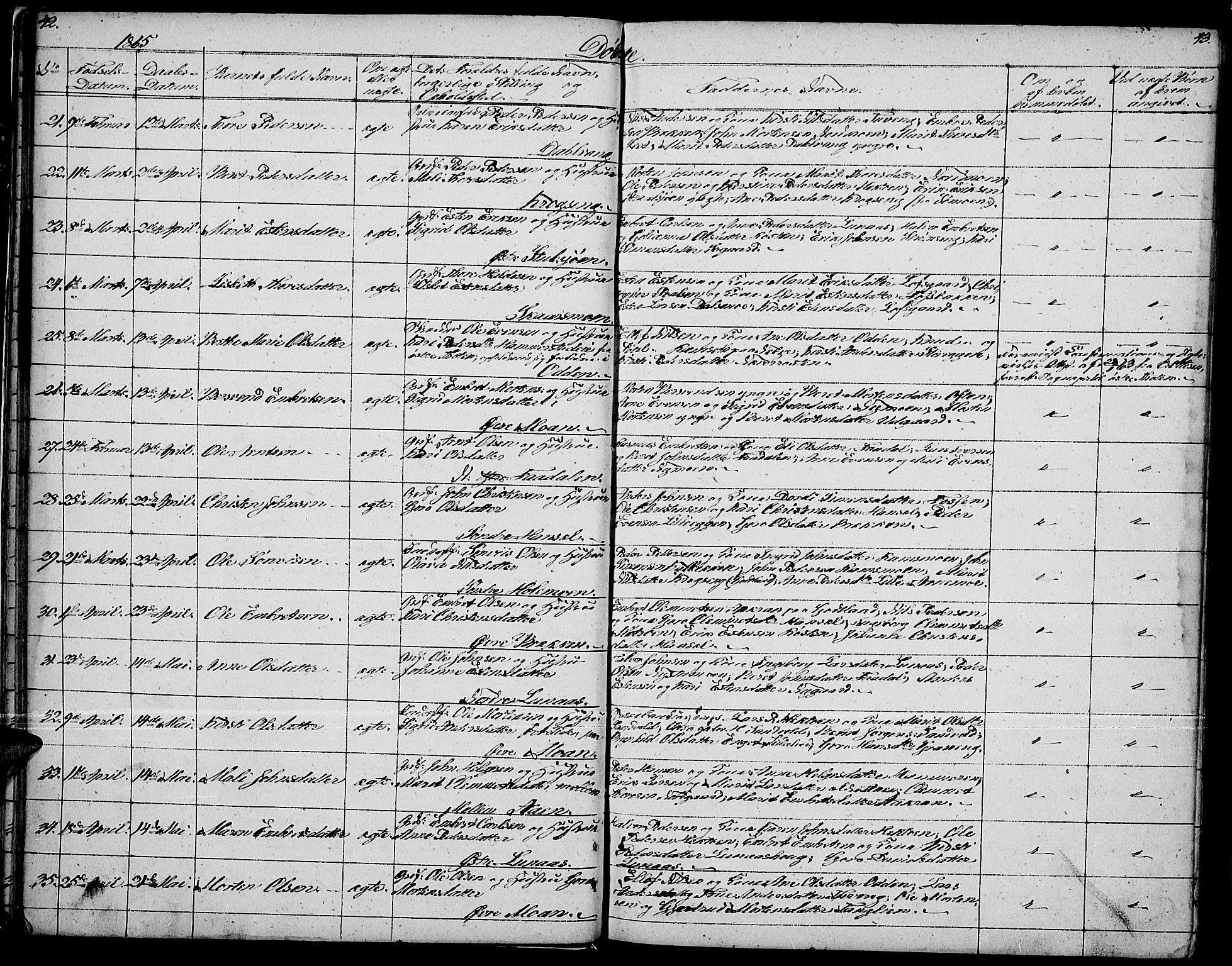 Tynset prestekontor, AV/SAH-PREST-058/H/Ha/Hab/L0005: Parish register (copy) no. 5, 1860-1879, p. 42-43