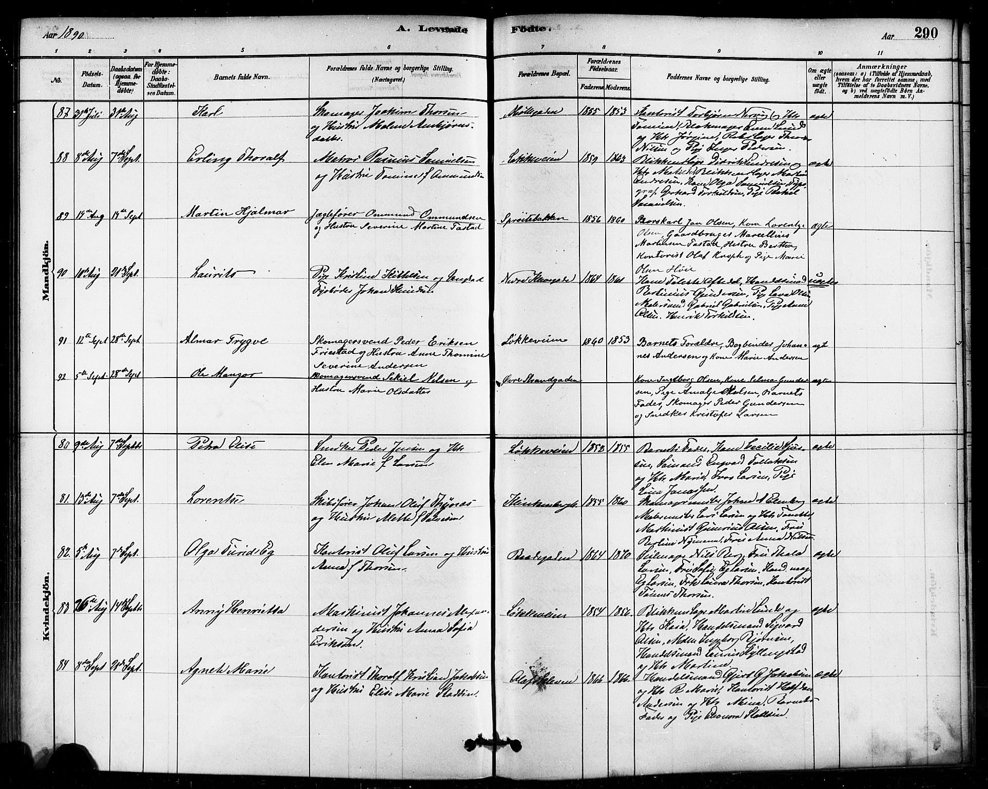 Domkirken sokneprestkontor, AV/SAST-A-101812/001/30/30BB/L0015: Parish register (copy) no. B 15, 1880-1891, p. 290