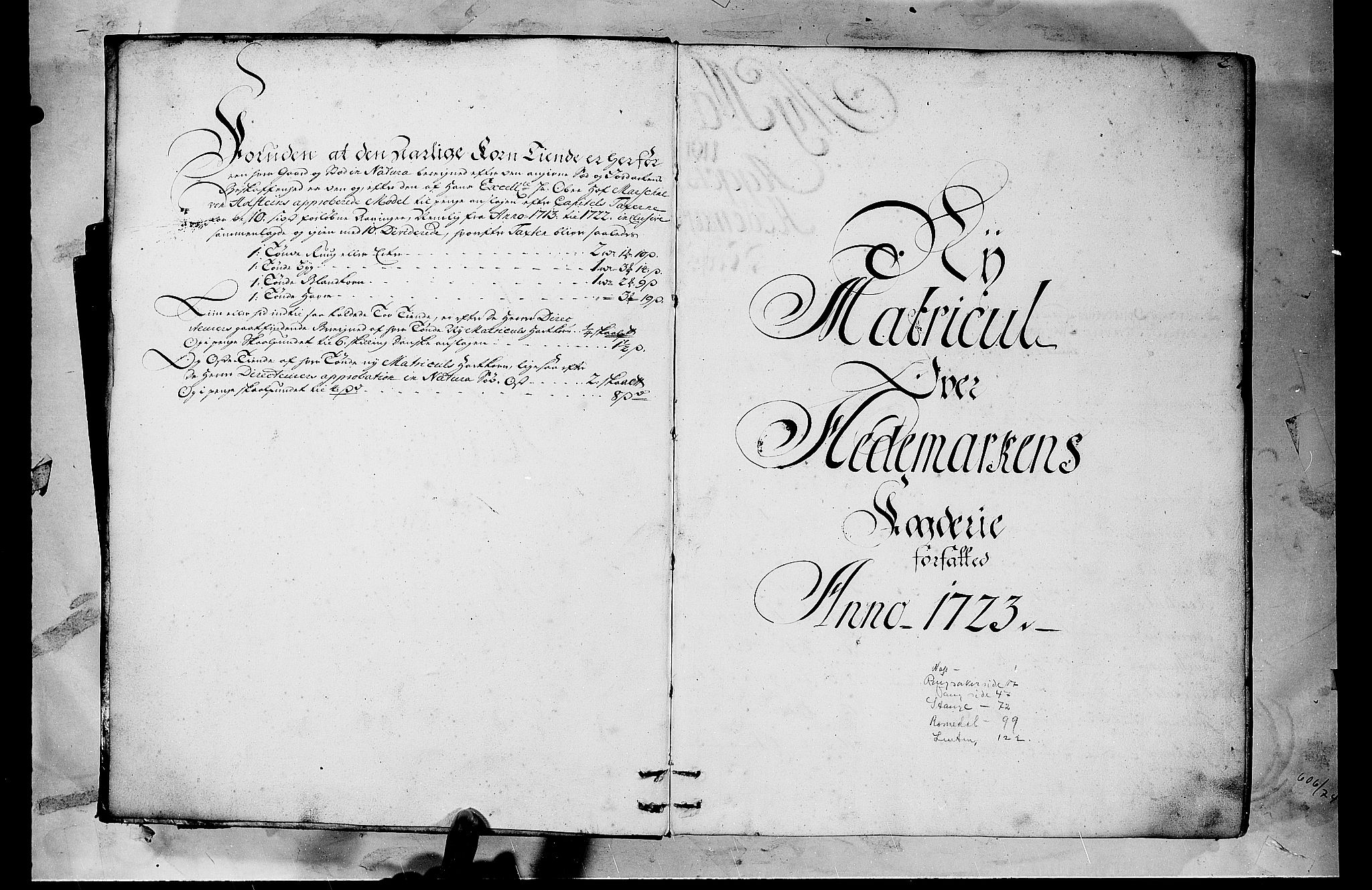 Rentekammeret inntil 1814, Realistisk ordnet avdeling, RA/EA-4070/N/Nb/Nbf/L0103b: Hedmark matrikkelprotokoll, 1723