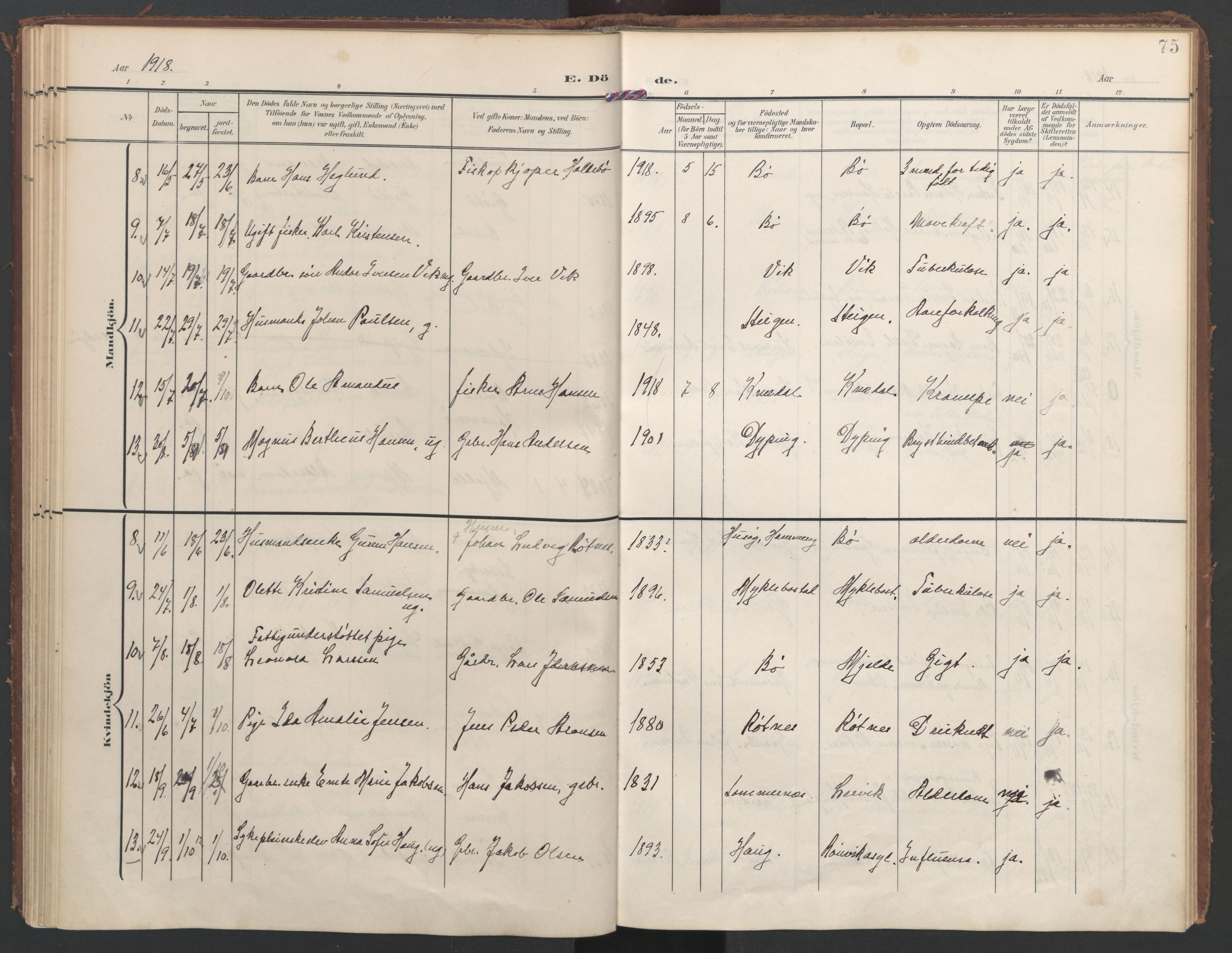 Ministerialprotokoller, klokkerbøker og fødselsregistre - Nordland, SAT/A-1459/855/L0806: Parish register (official) no. 855A14, 1906-1922, p. 75