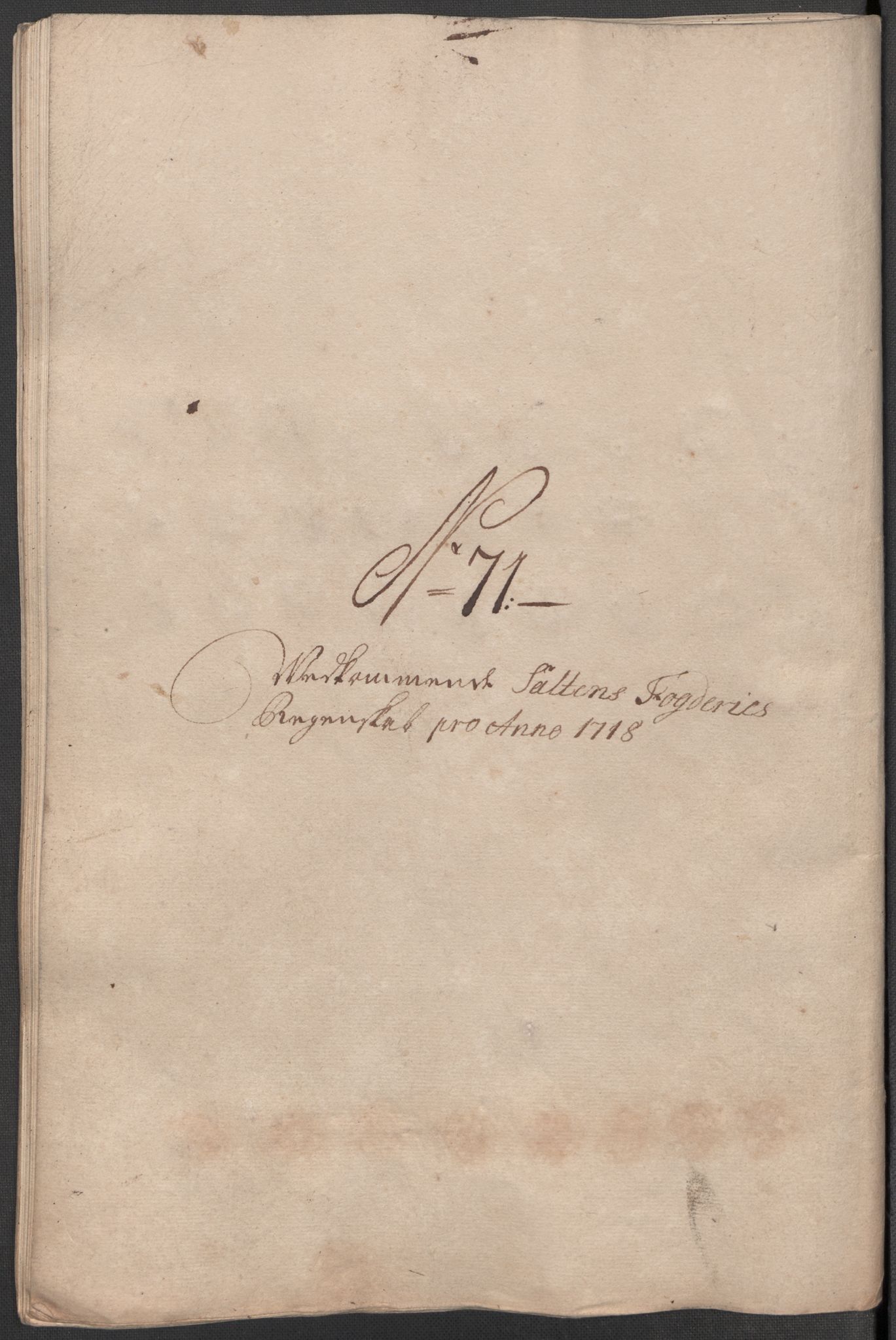 Rentekammeret inntil 1814, Reviderte regnskaper, Fogderegnskap, AV/RA-EA-4092/R66/L4588: Fogderegnskap Salten, 1718, p. 414