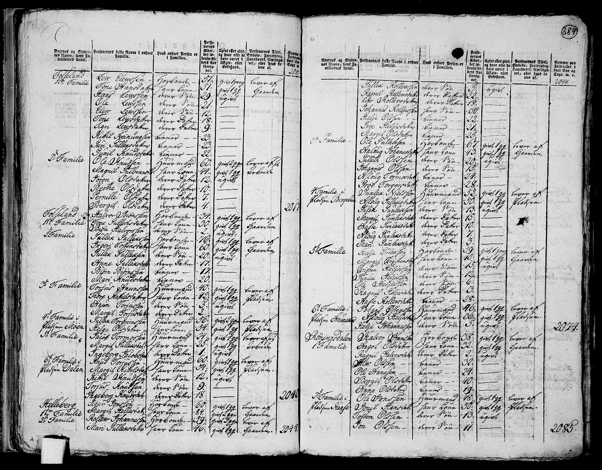 RA, 1801 census for 0827P Hjartdal, 1801, p. 388b-389a