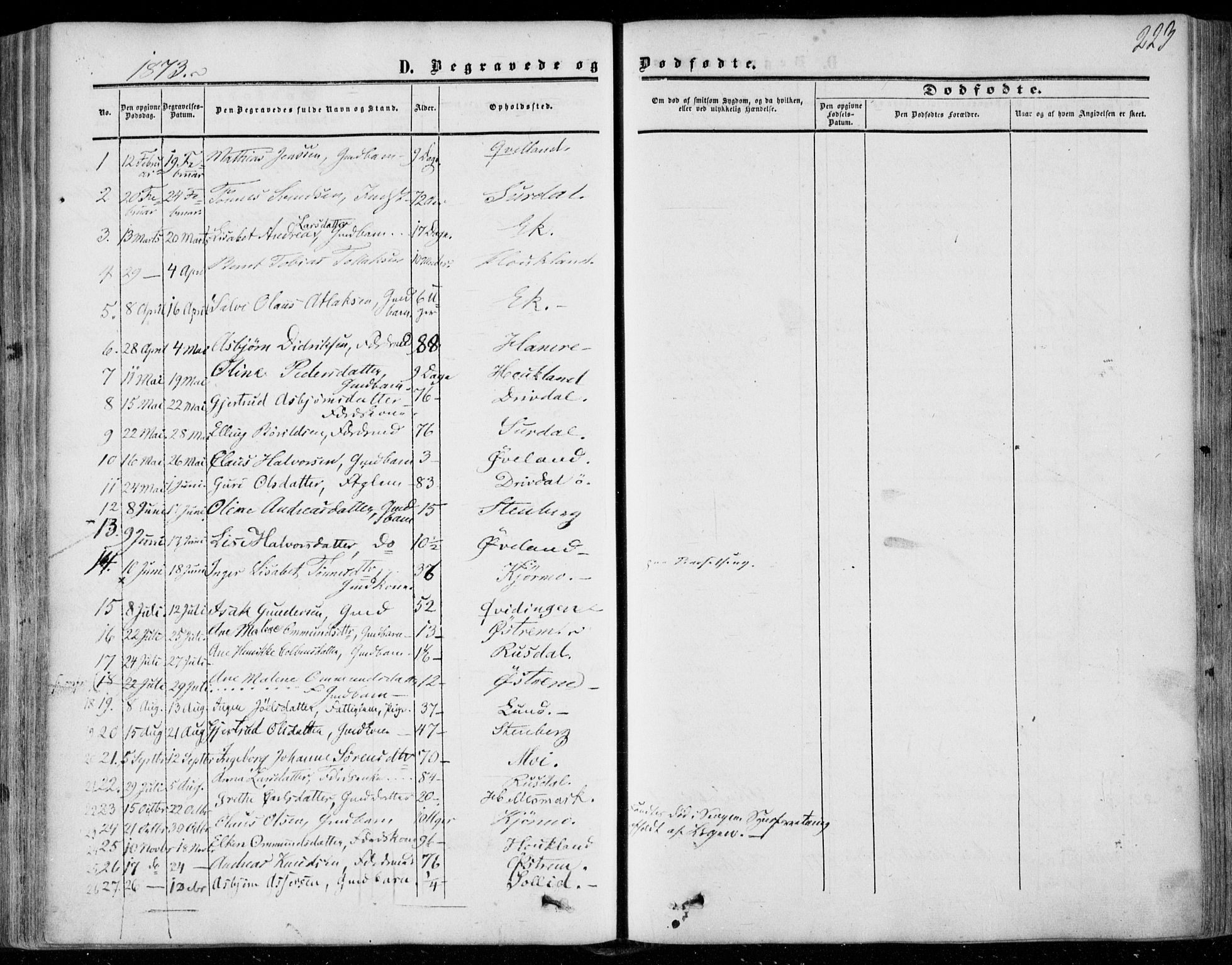 Lund sokneprestkontor, AV/SAST-A-101809/S06/L0009: Parish register (official) no. A 8, 1853-1877, p. 223