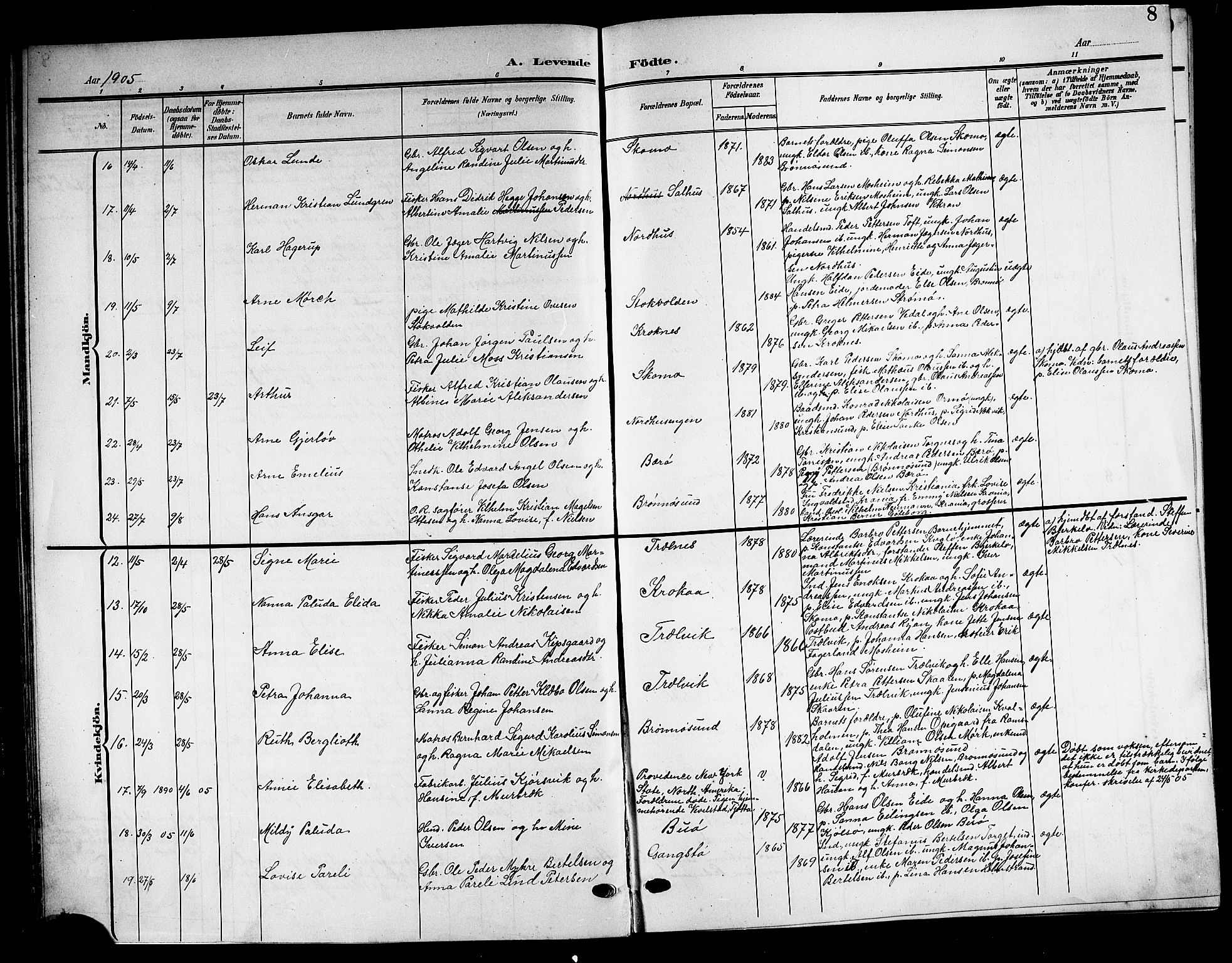 Ministerialprotokoller, klokkerbøker og fødselsregistre - Nordland, AV/SAT-A-1459/813/L0214: Parish register (copy) no. 813C06, 1904-1917, p. 8